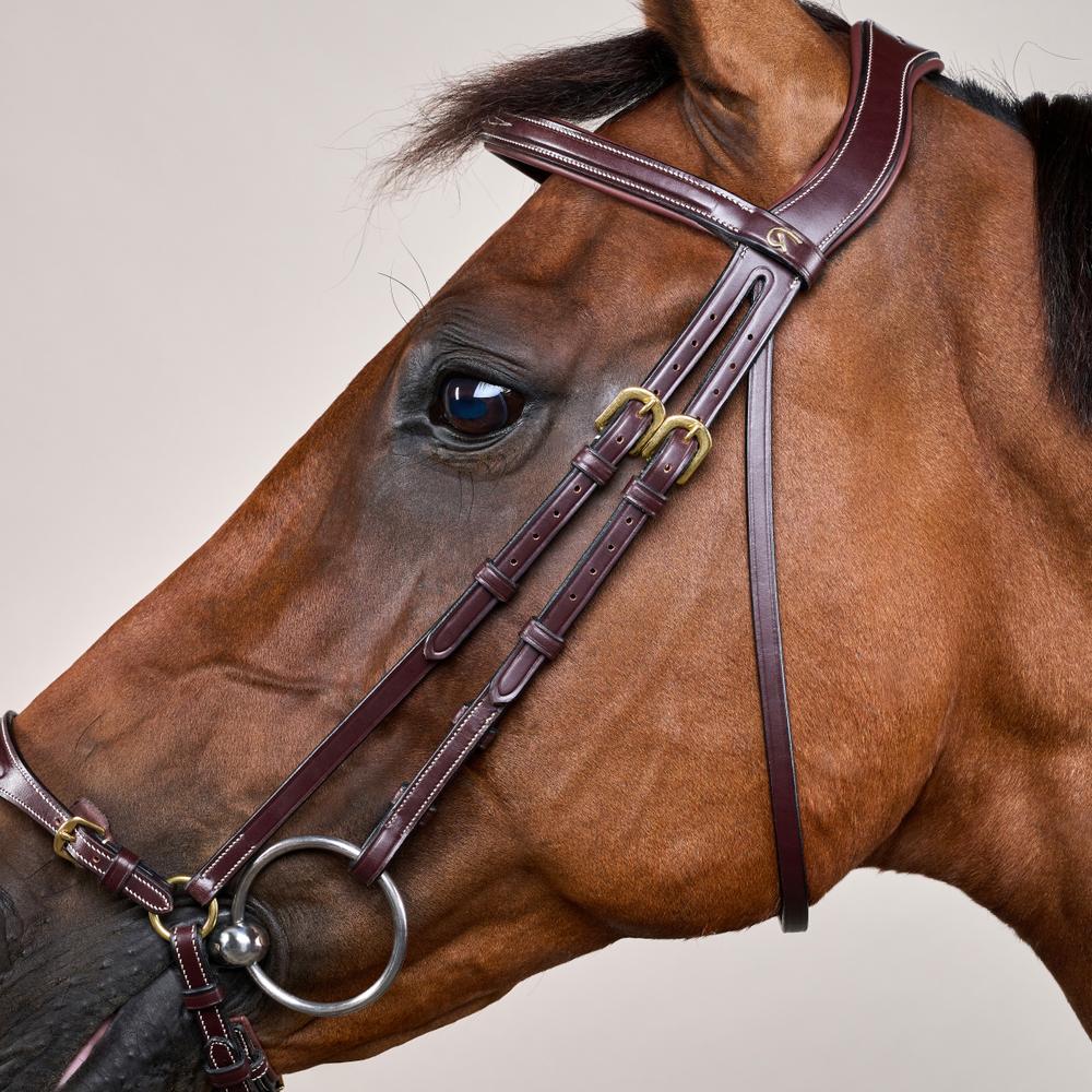 Trense mit verstellbarem hannoverschem Reithalfter DY | Dy'on