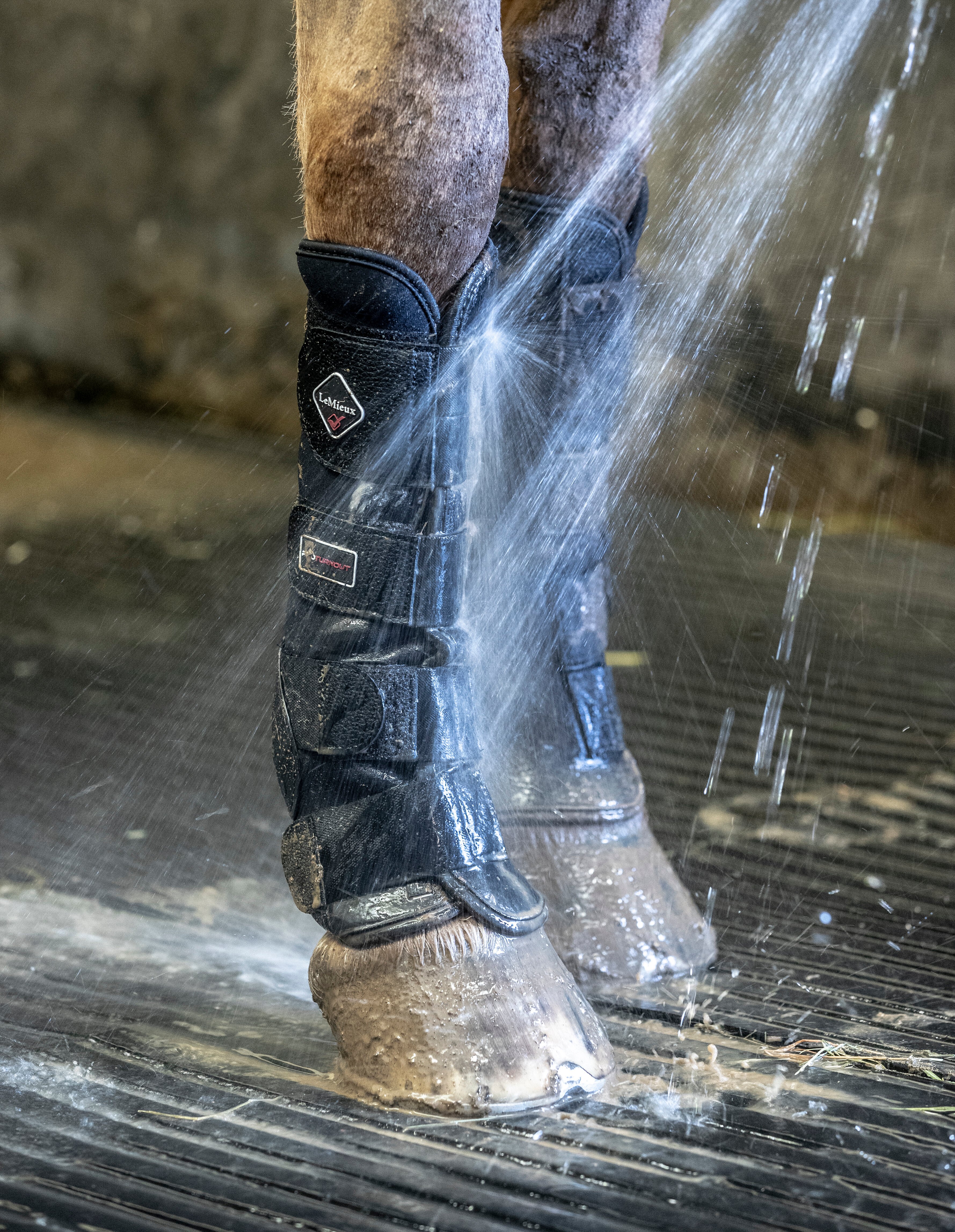 Turnout boots