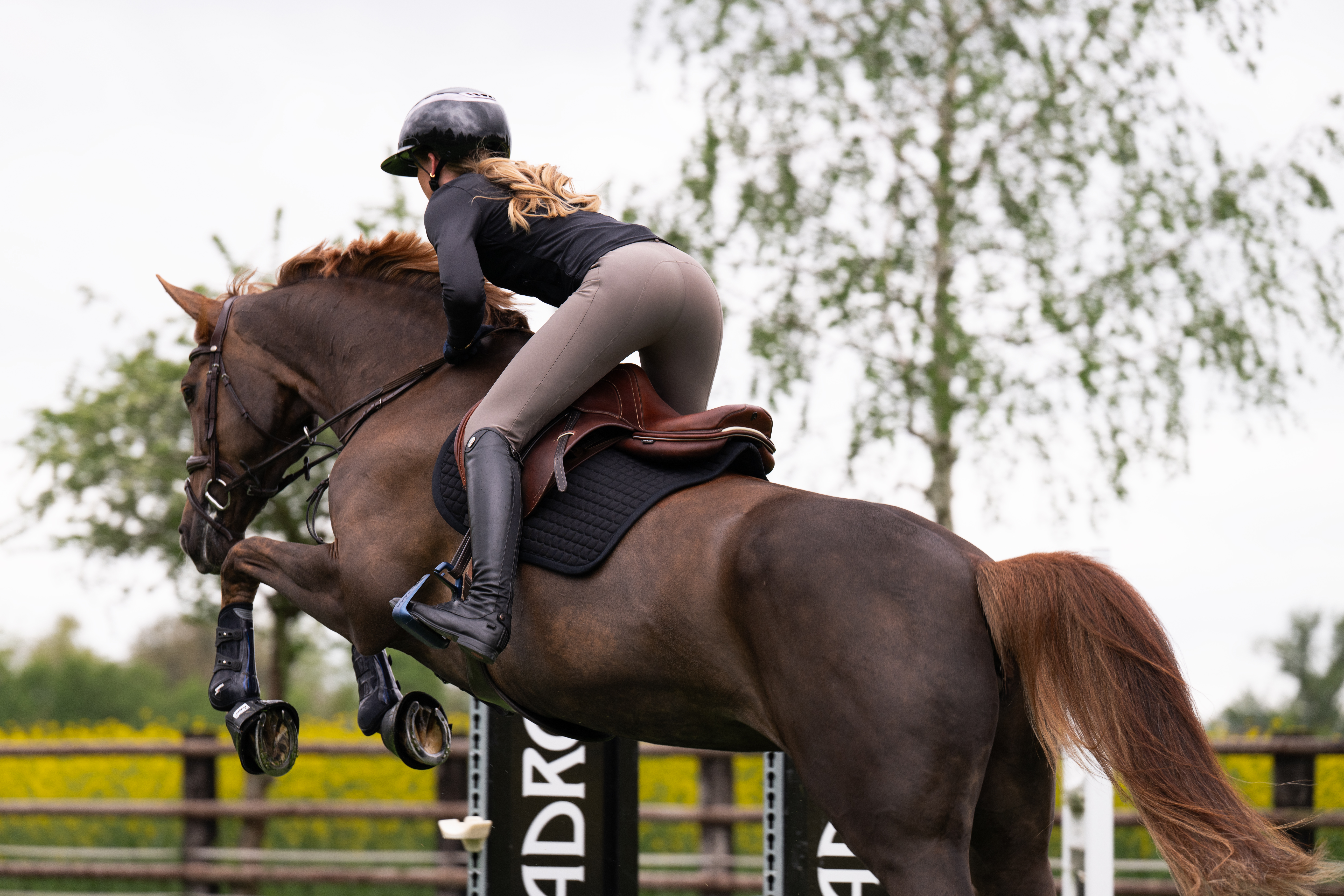 Riding breeches ladies Amia Sd Kn Riding breeches ladies Amia Sd Kn