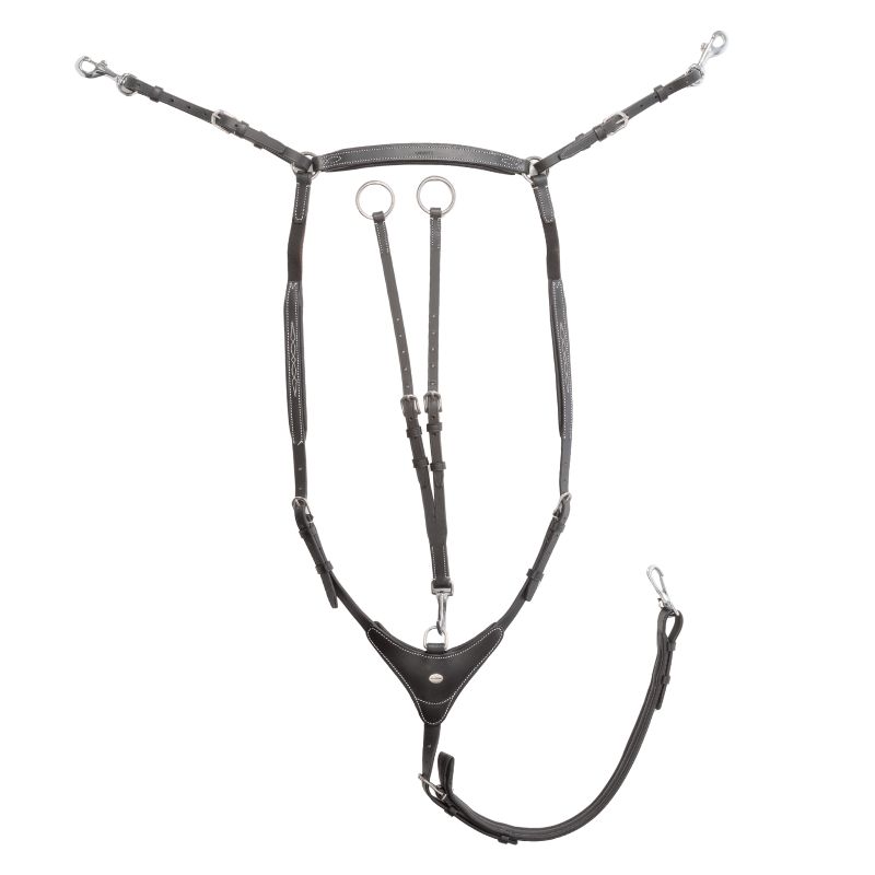 Breastplate "Dexter" 3-pt. high with elastic
