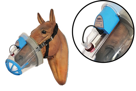 Inhalator Verneblereinheit verbinden Inhalator Verneblereinheit verbinden