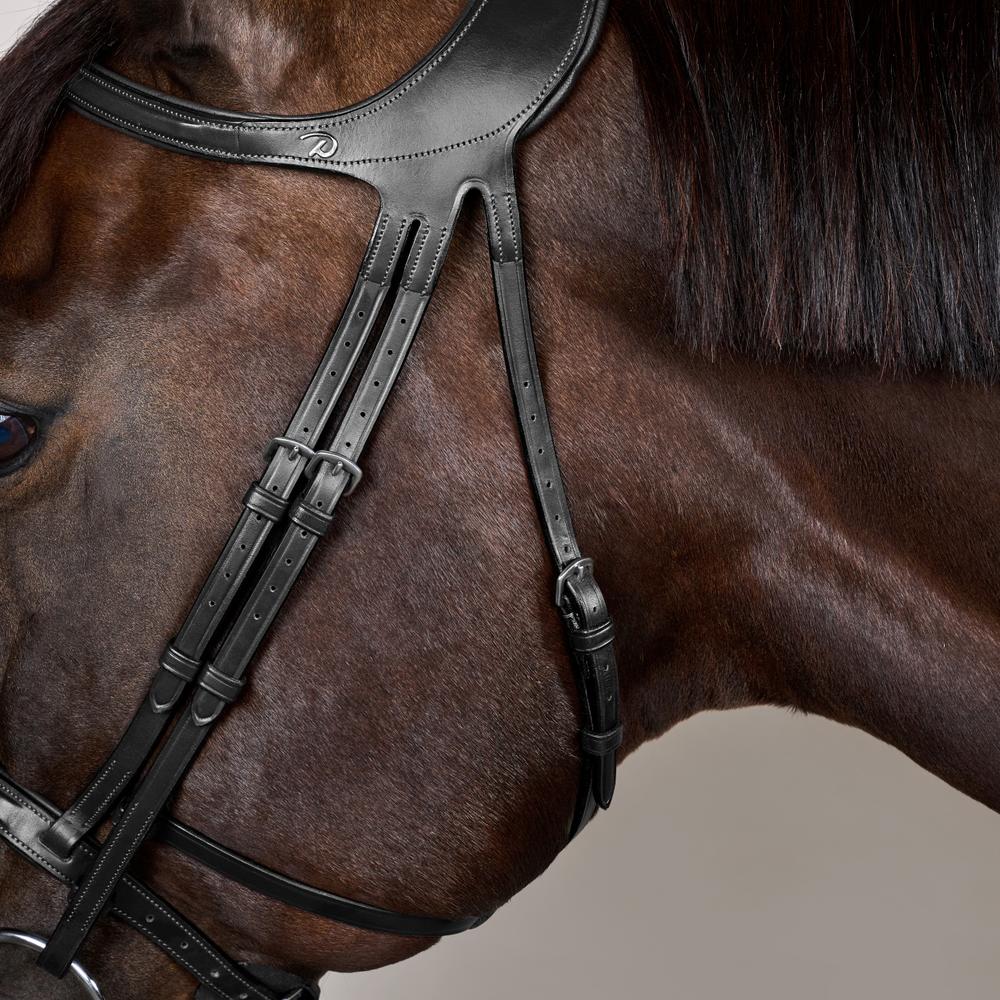 Difference Trense NE