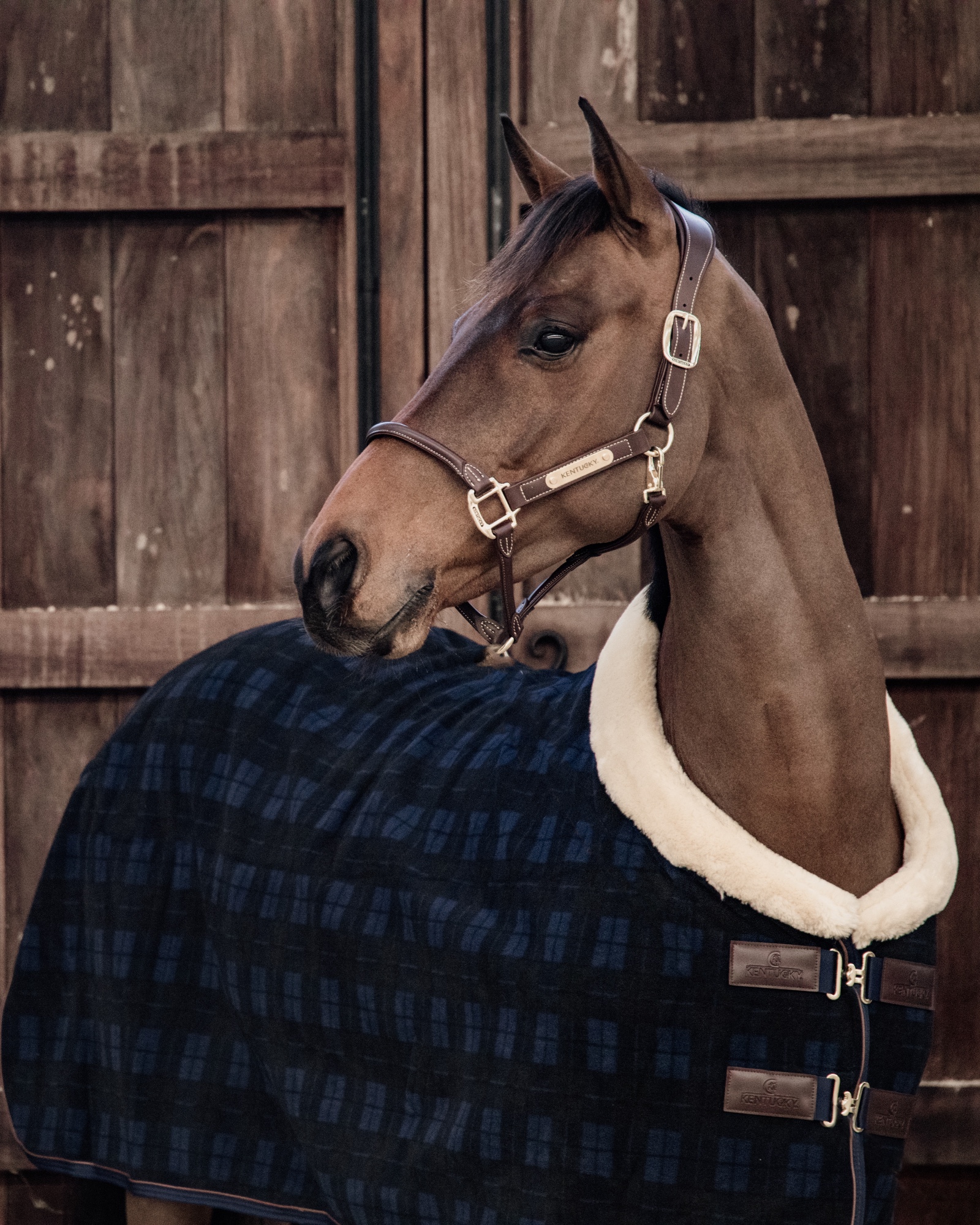Fleece Show Heavy sweat rug