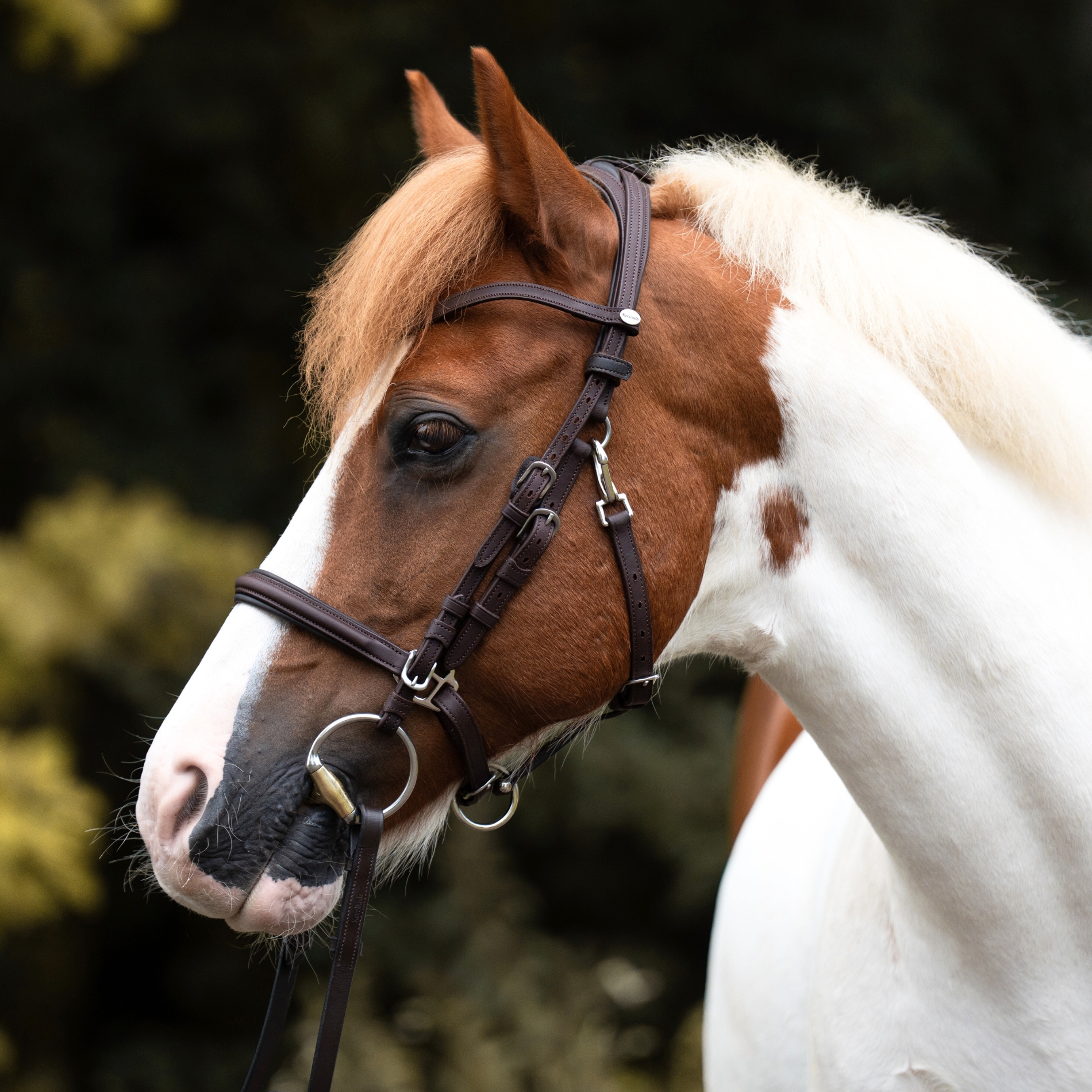 Wanderreittrense "Artemis"