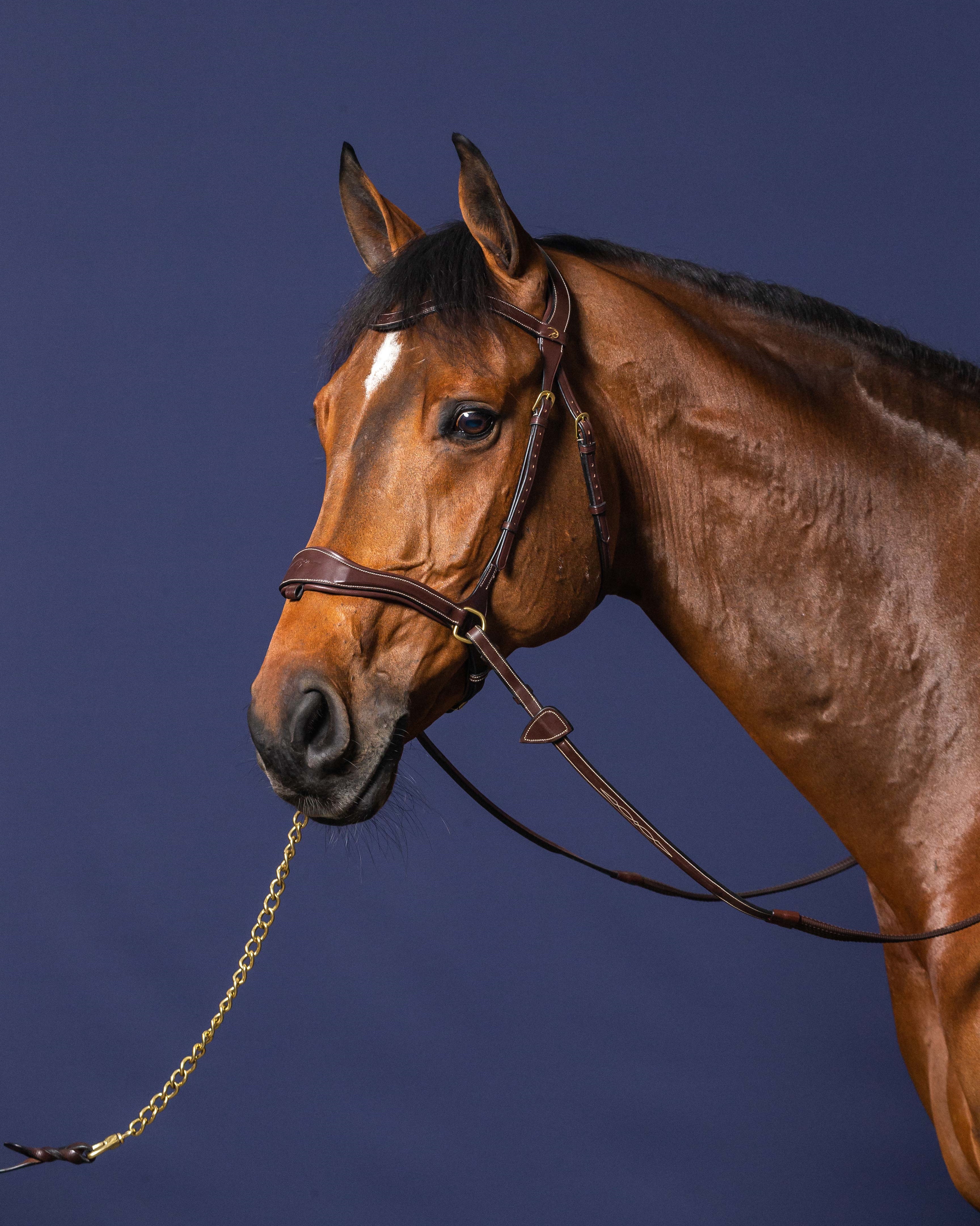 Snaffle D-Motion Snaffle D-Motion