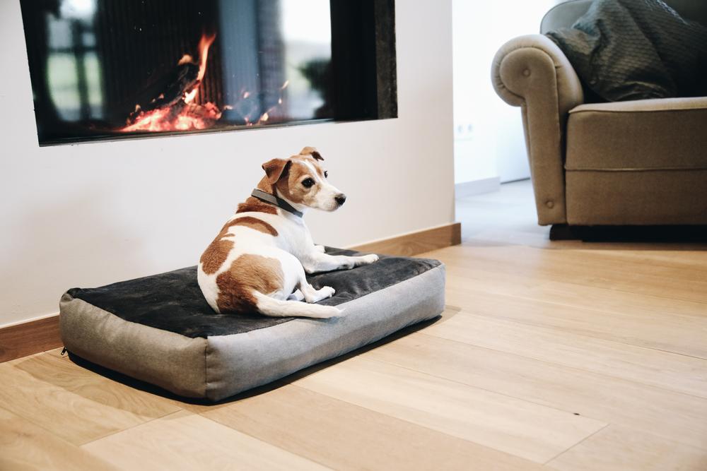 Hundebett Soft Pillow | Kentucky Dogwear