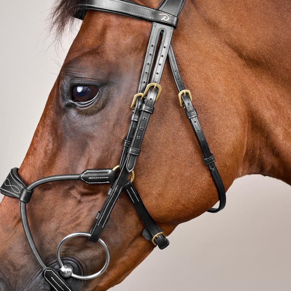 Hybrides Elastisches Zaumzeug DY |