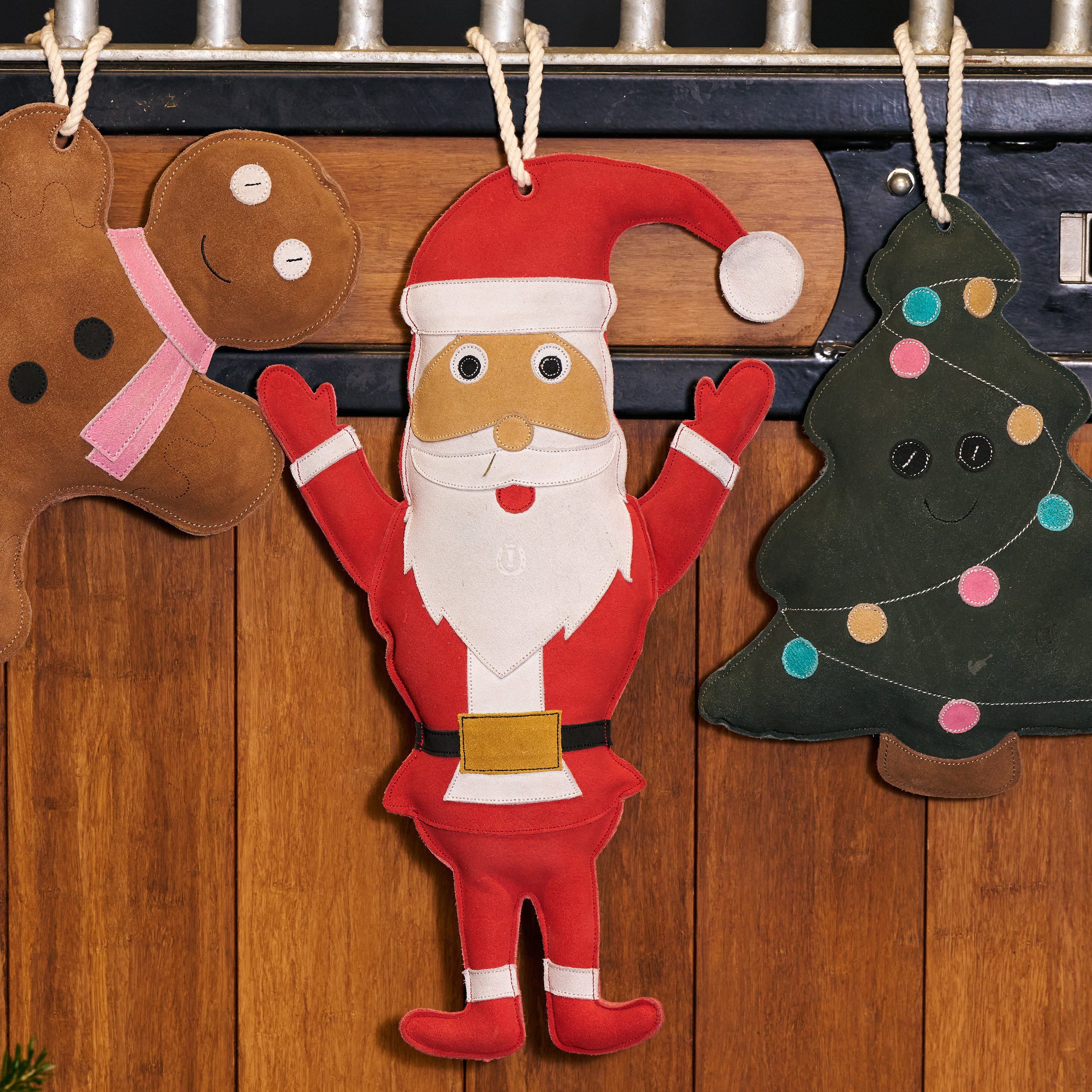 Stable buddy Santa
