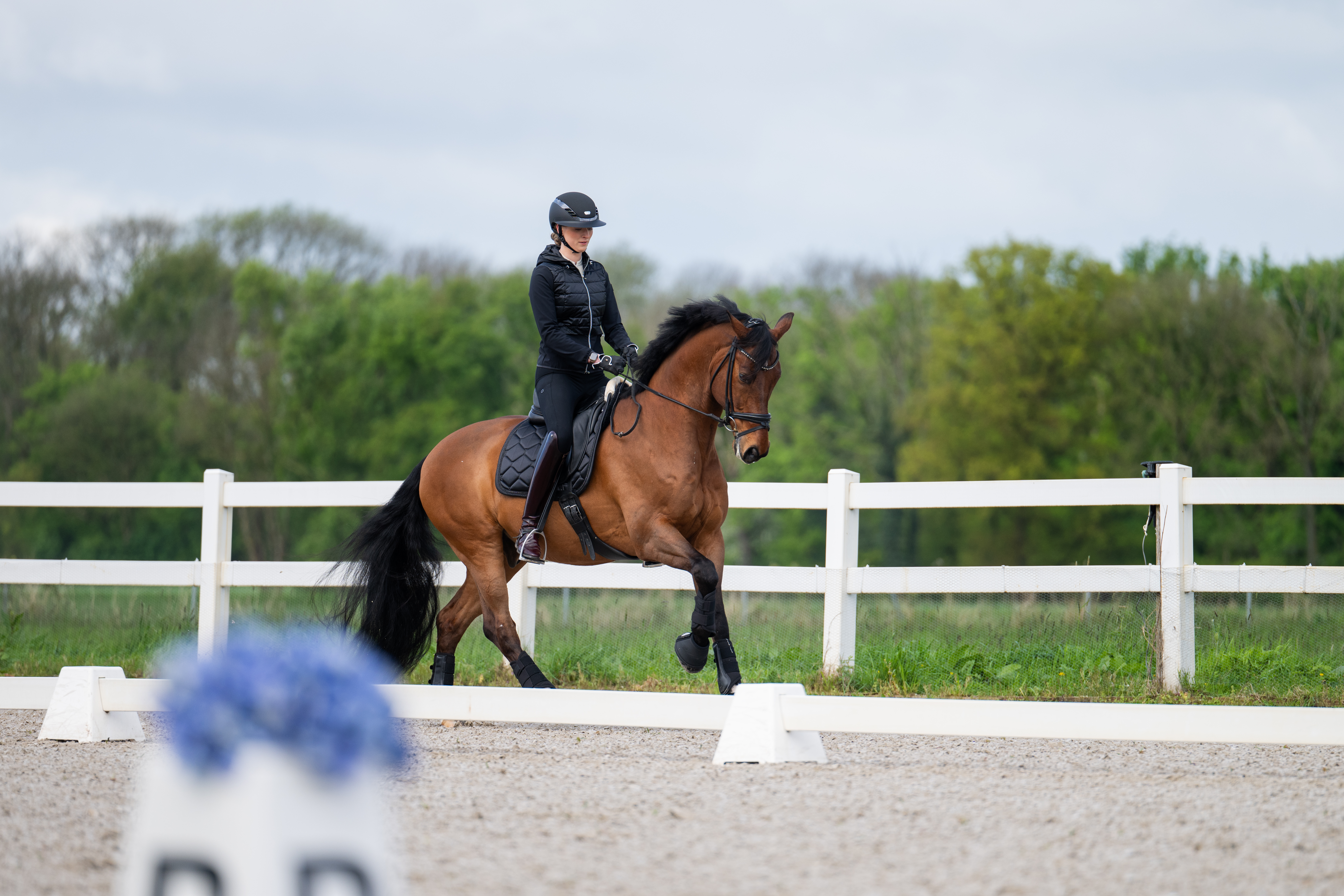 Riding breeches ladies New Lugana synthetic leather full seat
