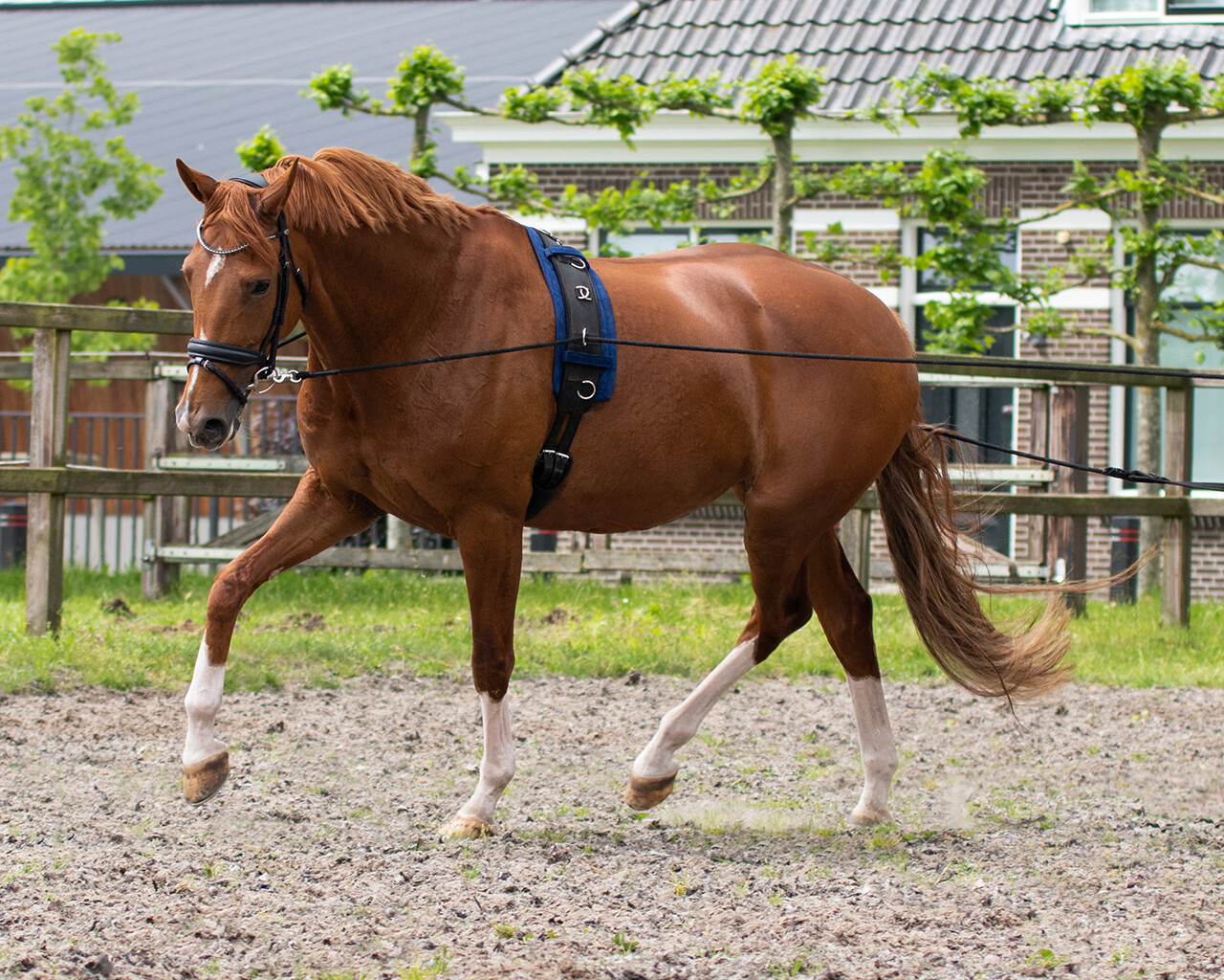 Double lunge