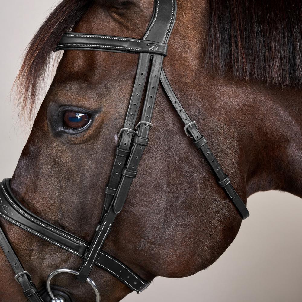 Bridon Hunter combiné