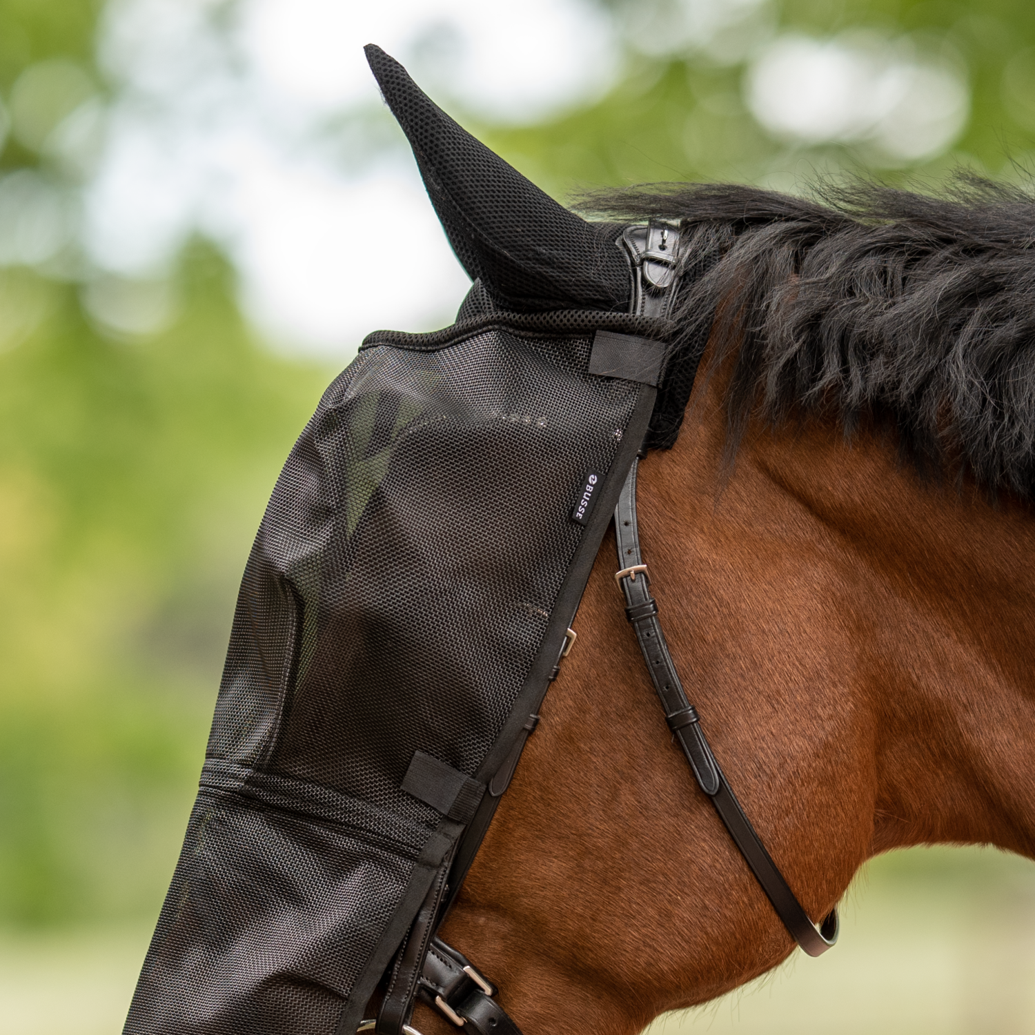 Riding Plus fly mask