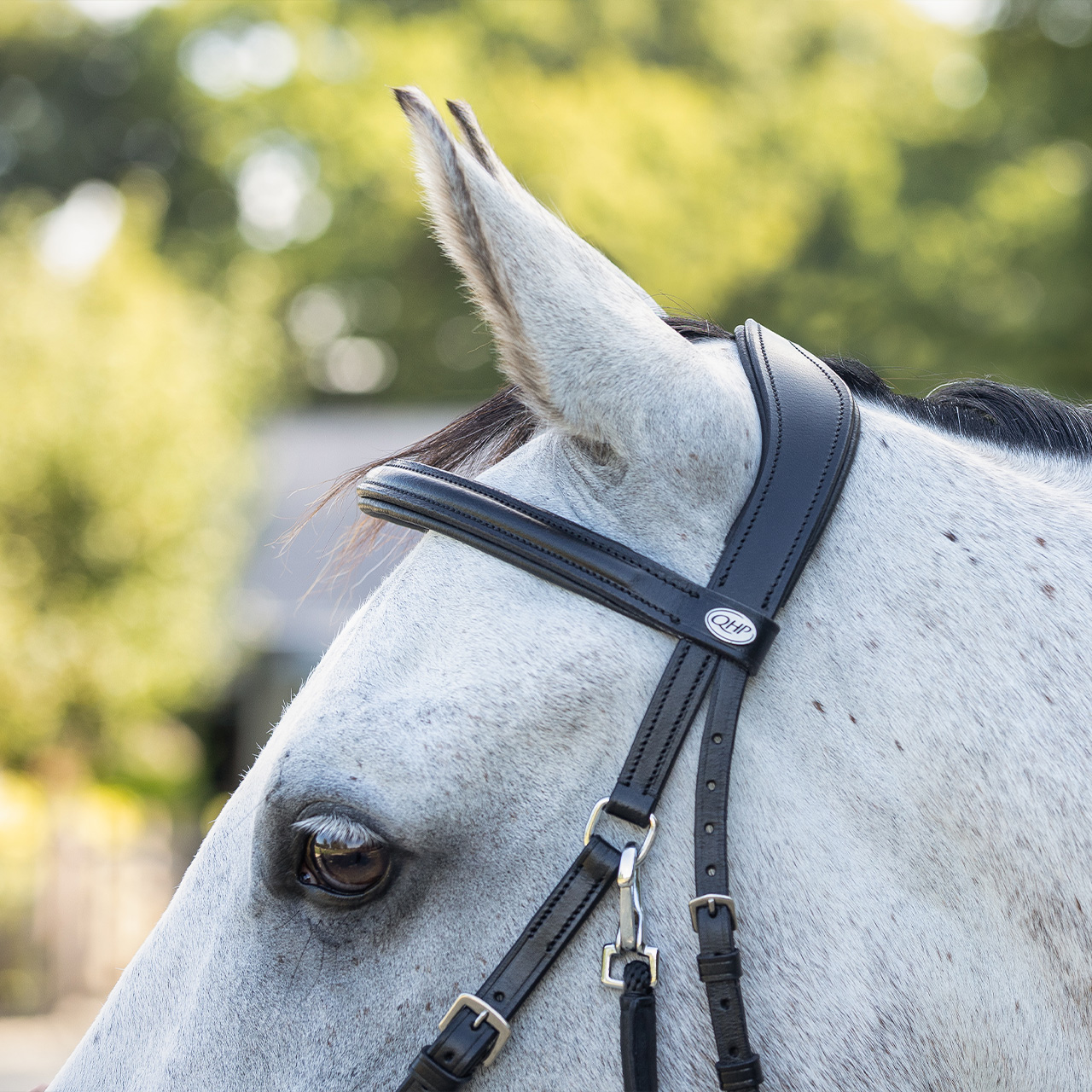 Snaffle bitless Ceto