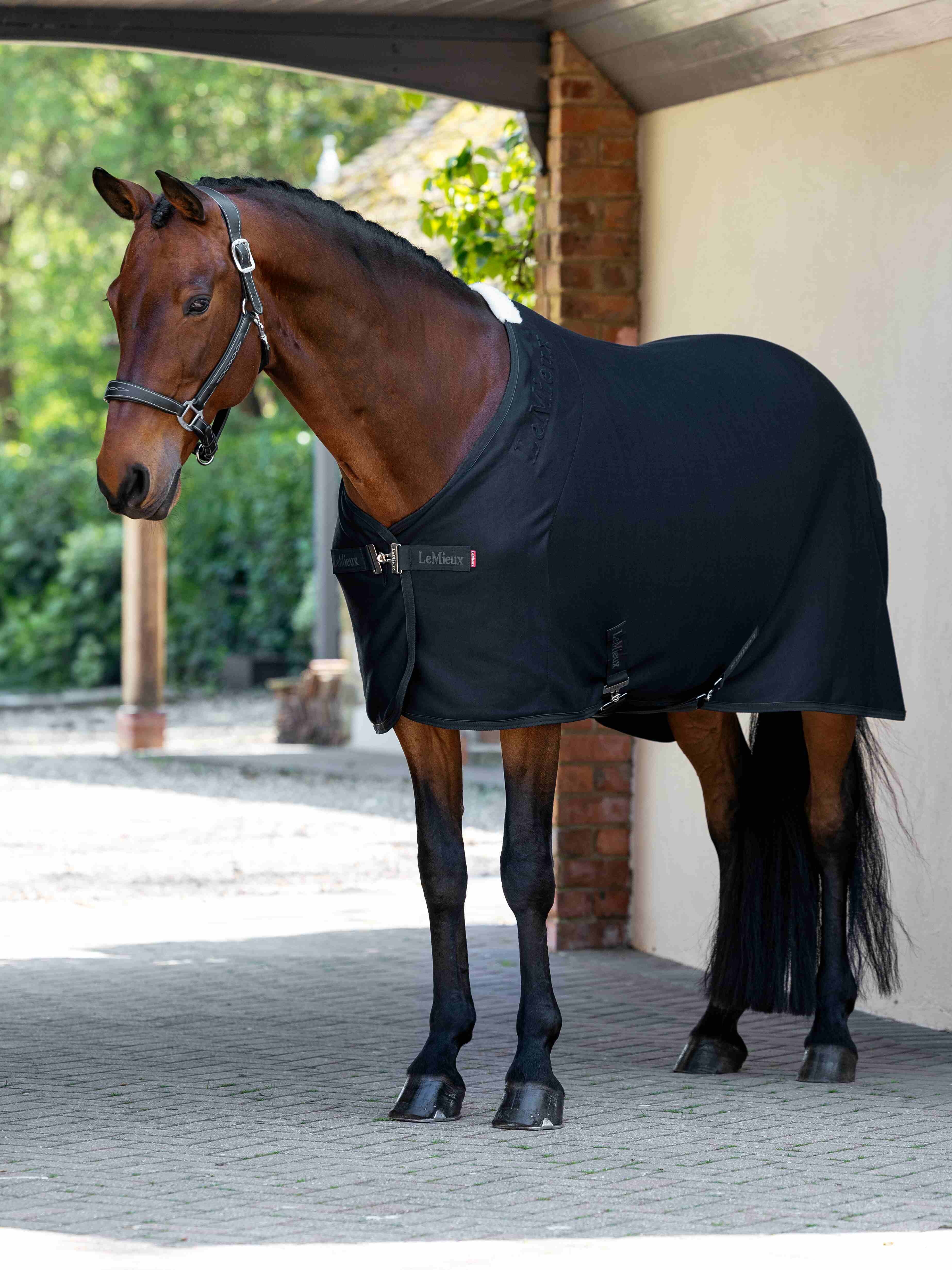 Arika Jersey-Tek Fleece
