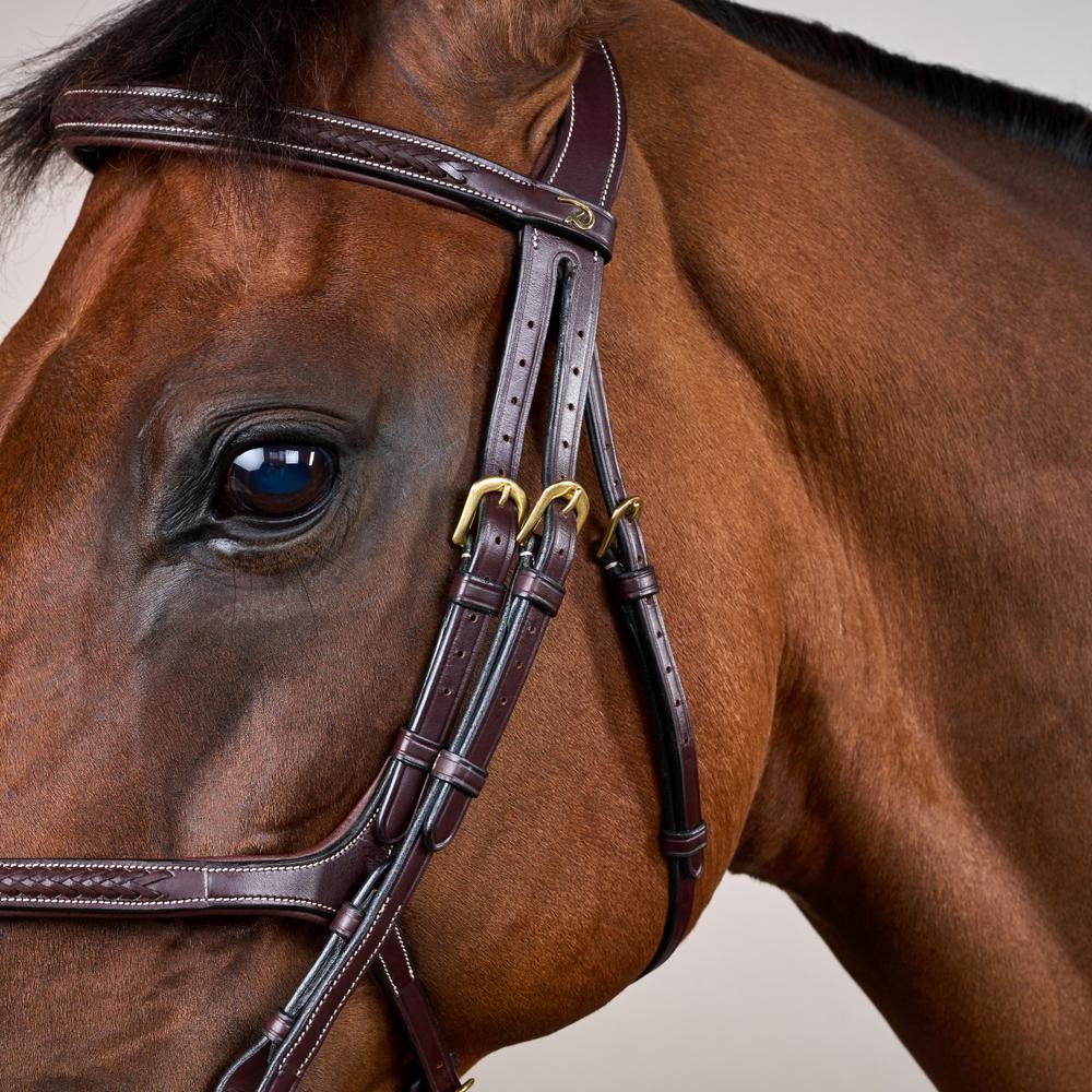 Trense mit geflochtenen mexikanischem Reithalfter DY |