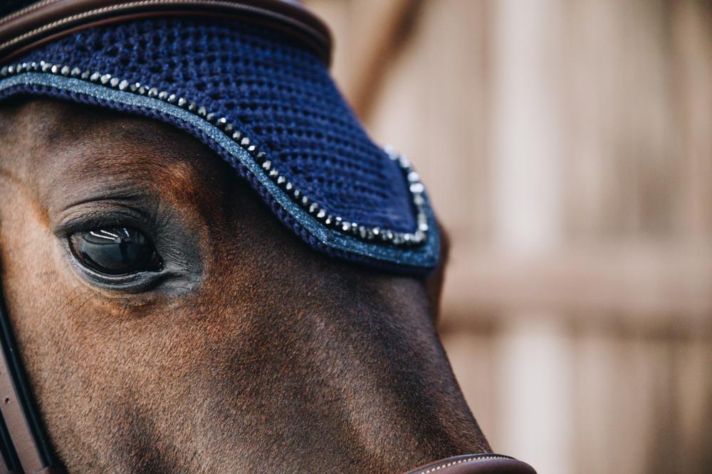 Fliegenhaube Wellington Glitter Band