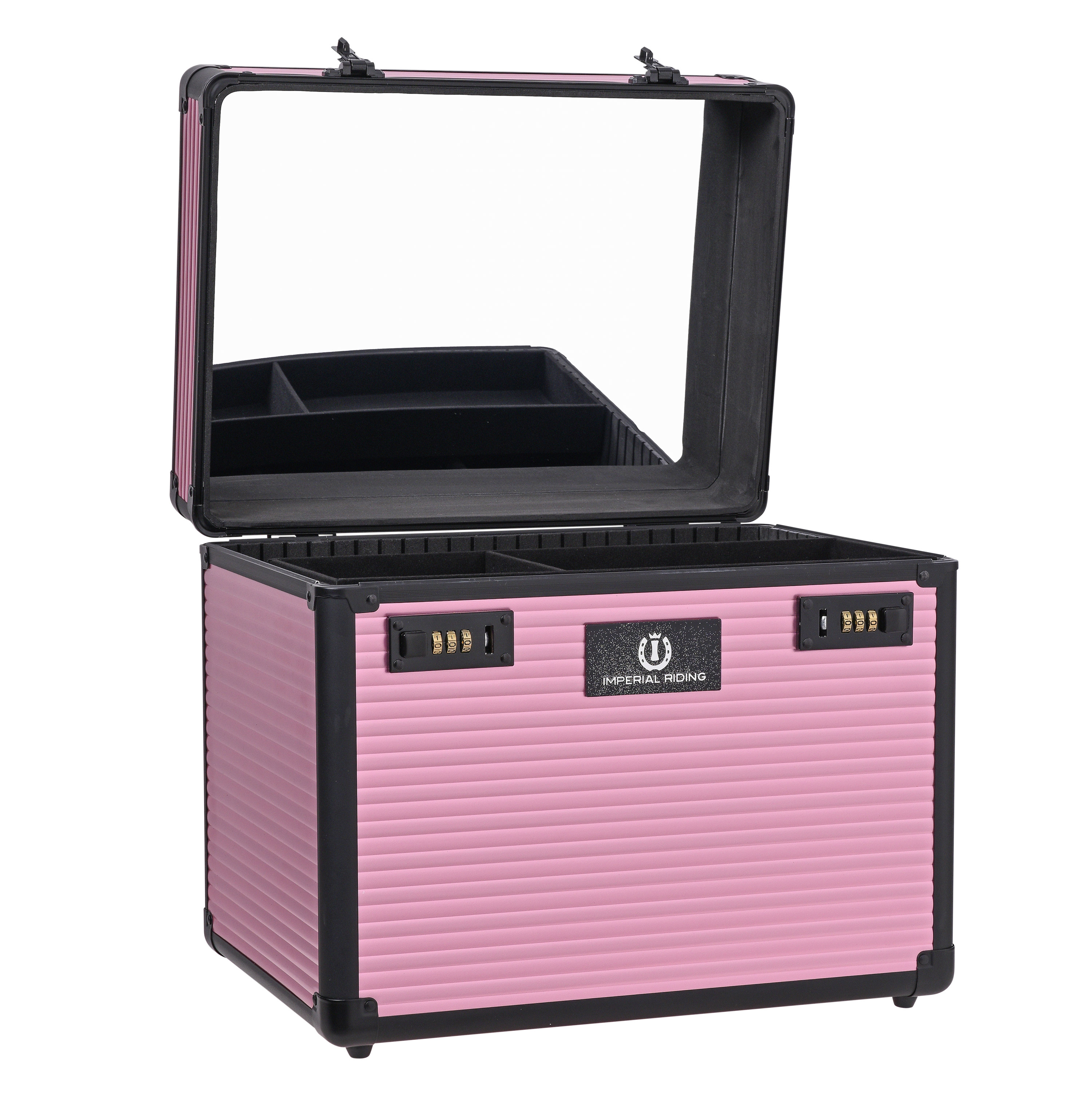 Putzbox Shiny