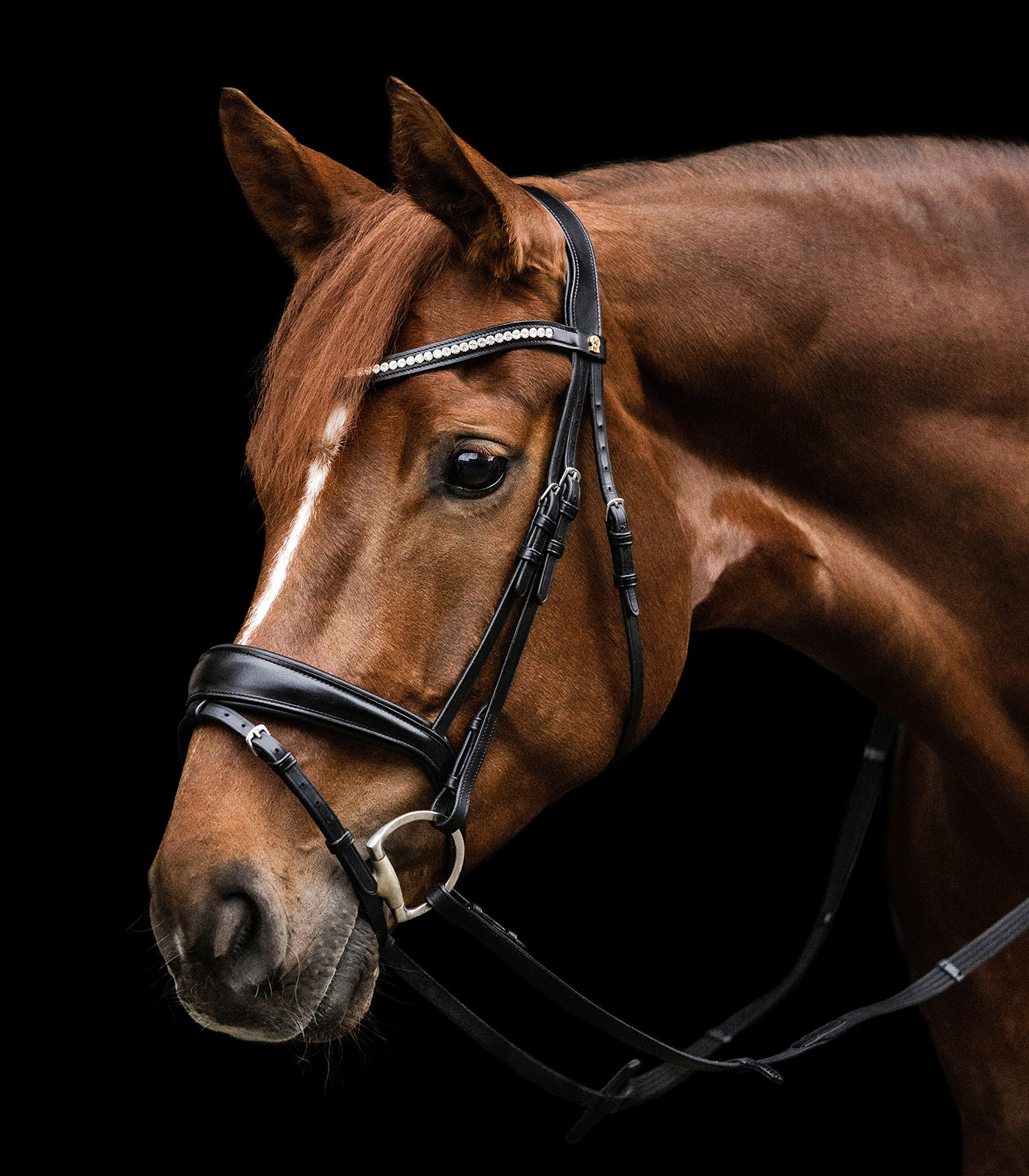 S-Line snaffle bridle Essential English comb.