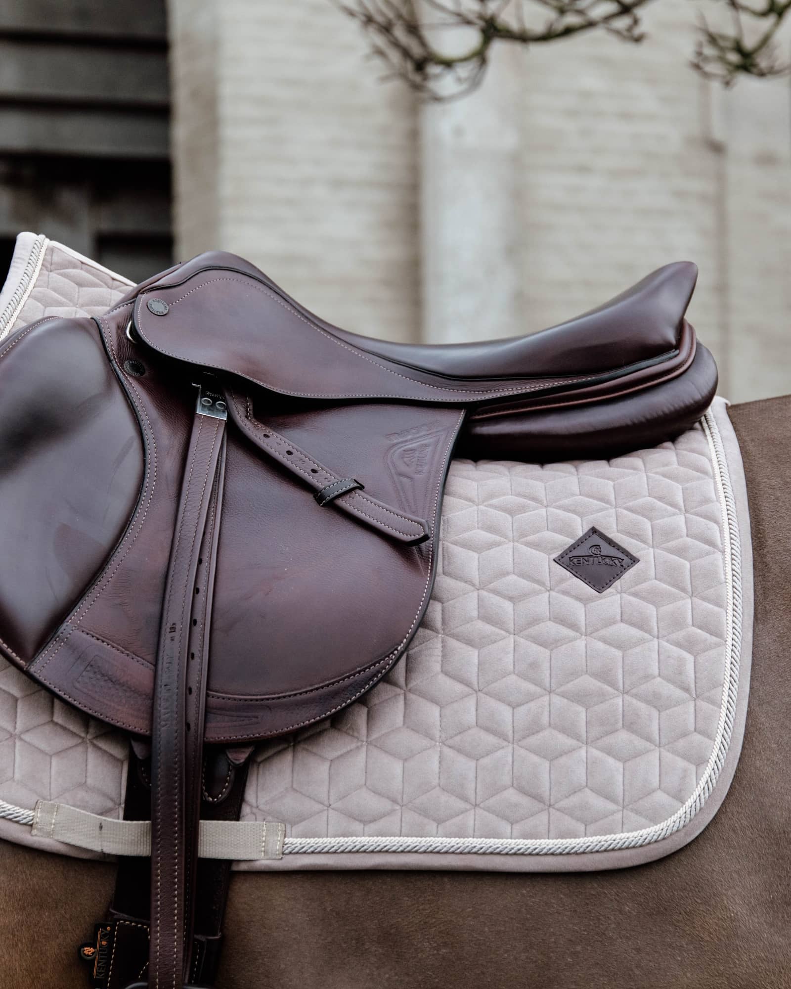 Jumping saddle pad Basic Velvet