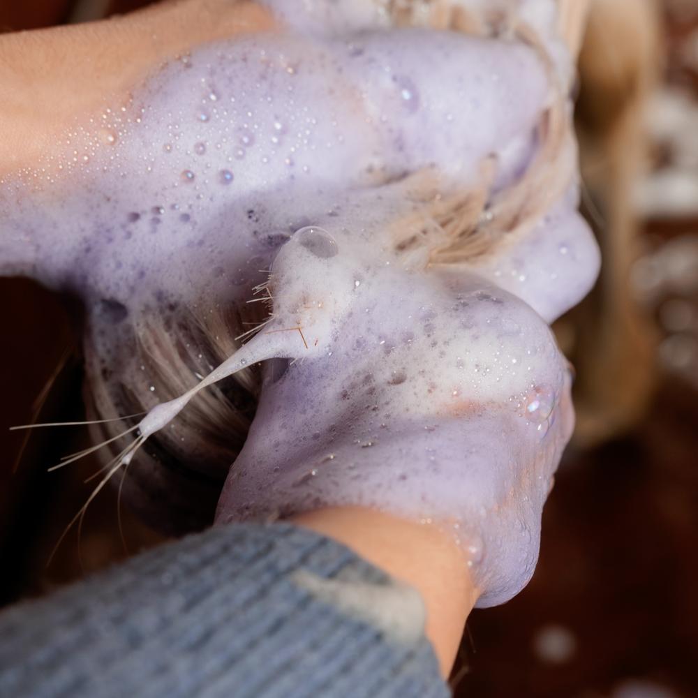Almond Gloss Purple Shampoo
