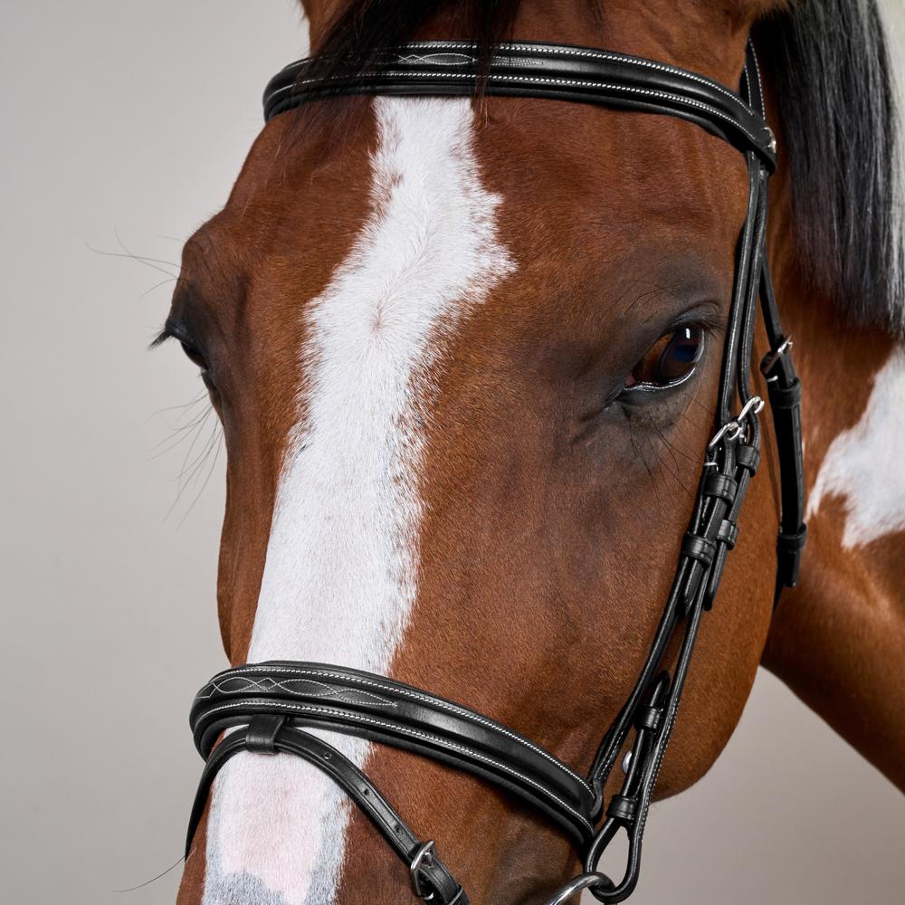 Trense mit kombiniertem Reithalfter US