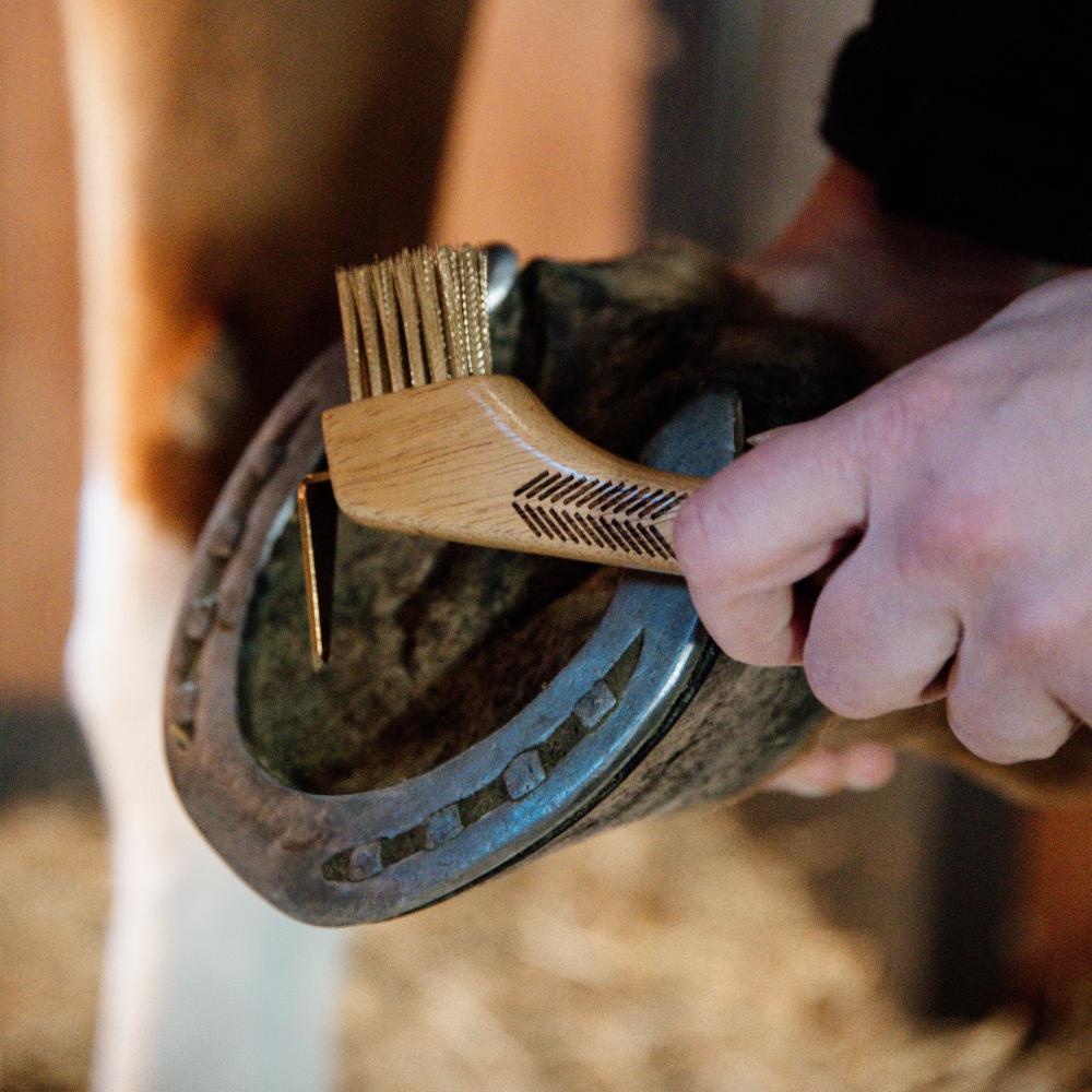 Hoof pick with metal brush