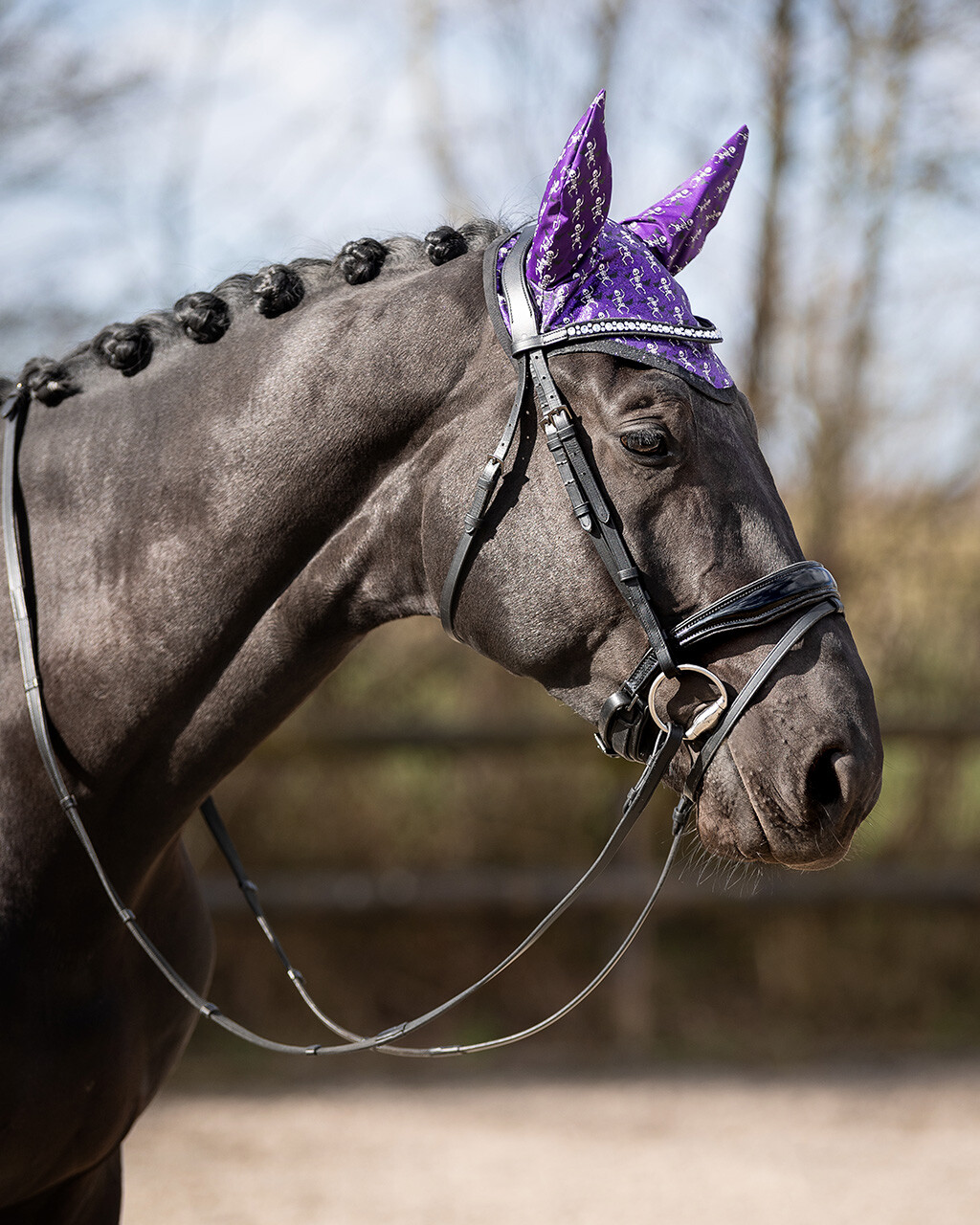 Halloween fly ears