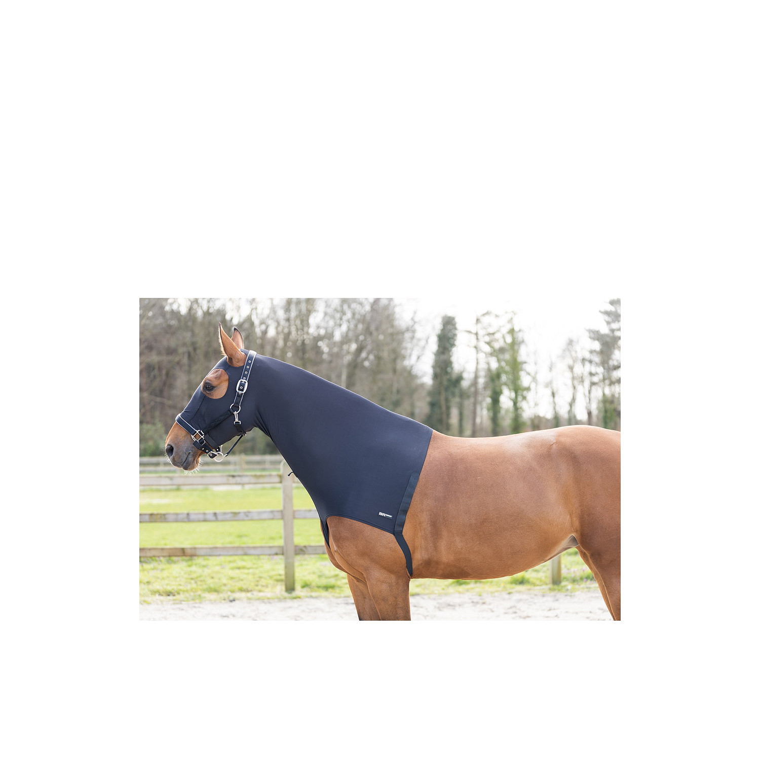 Nackenschutz Soft Motion mit Kopfteil