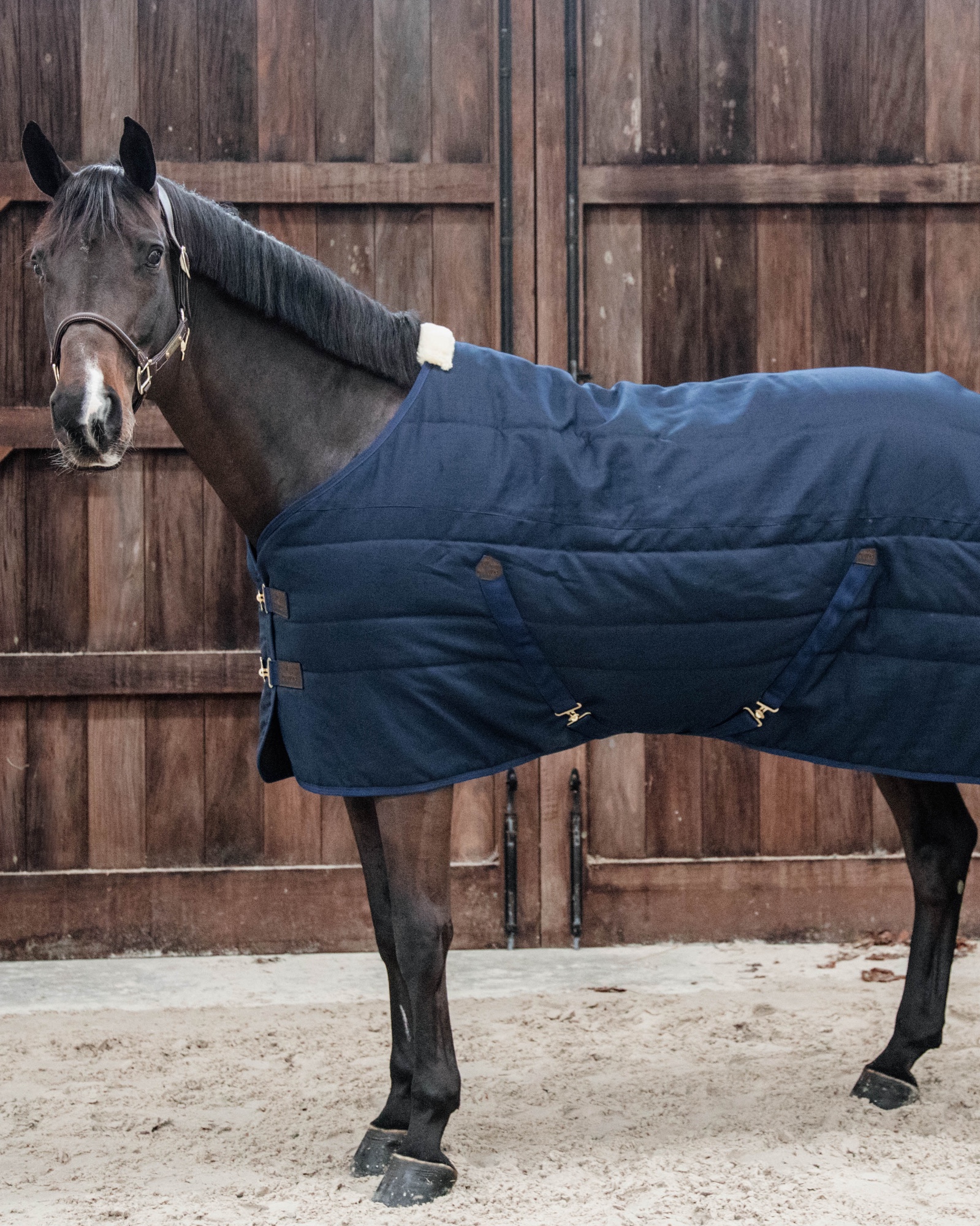 Classic 200g stable rug