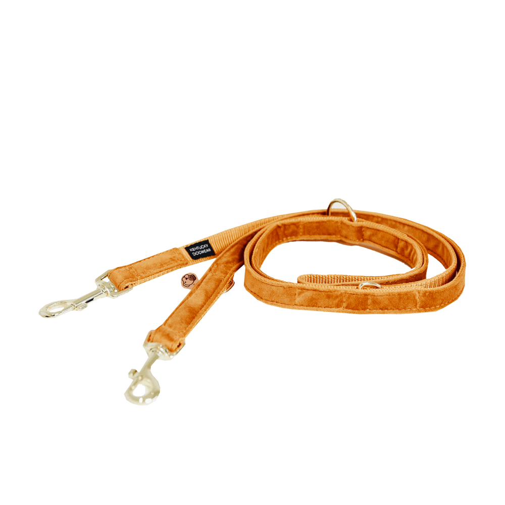 Hunde Leine Velvet 200 cm