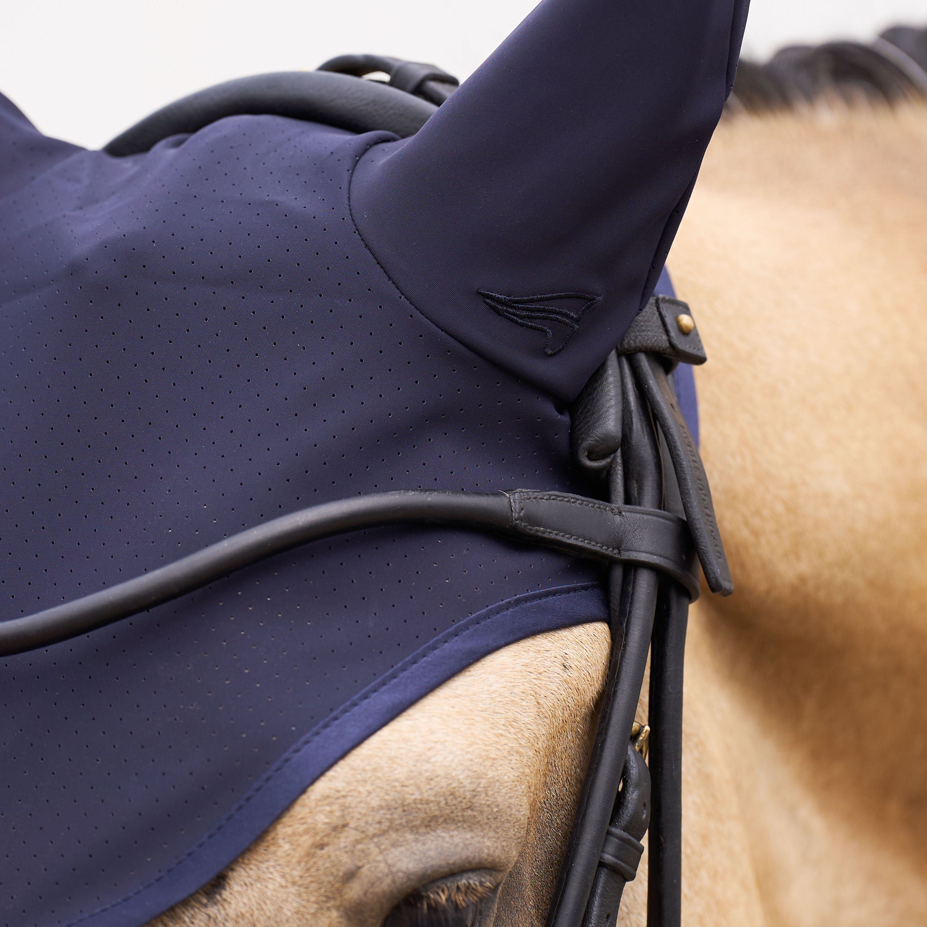 Fliegenhaube Coco
