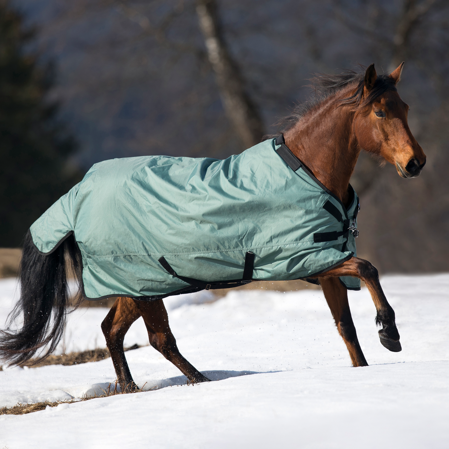 Outdoor blanket Flexible Pro 100