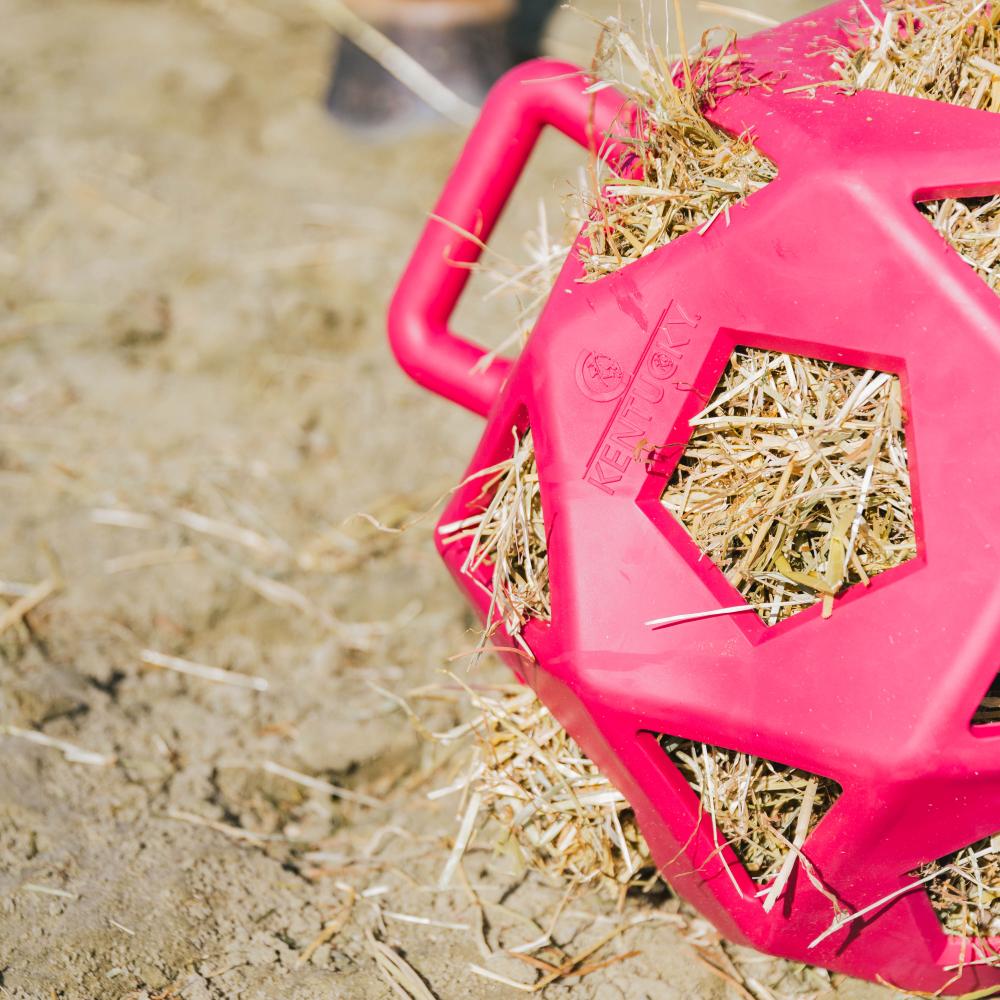 Relax horse game & hay ball