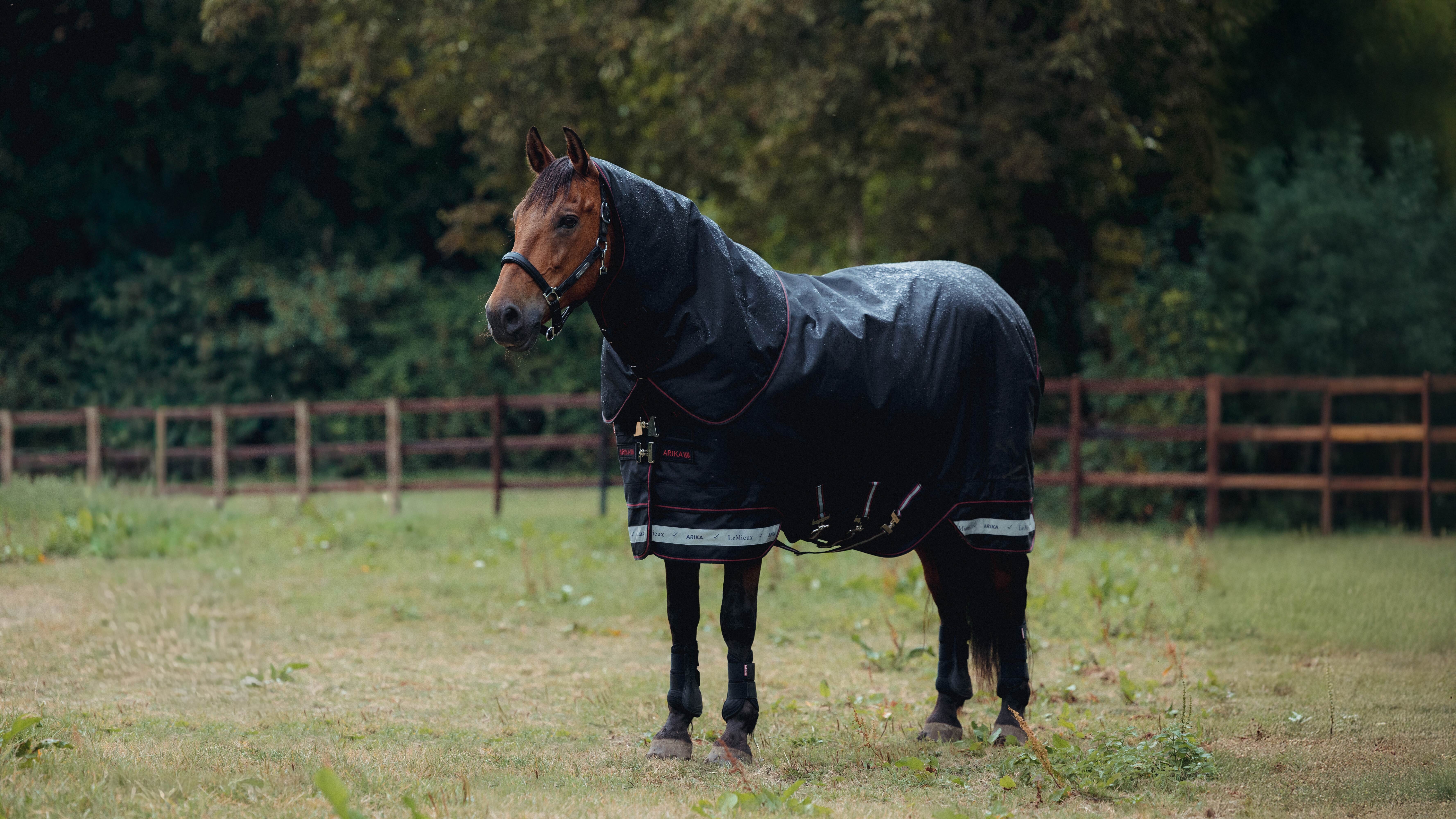 Arika Storm-Tek Weidedecke 350G