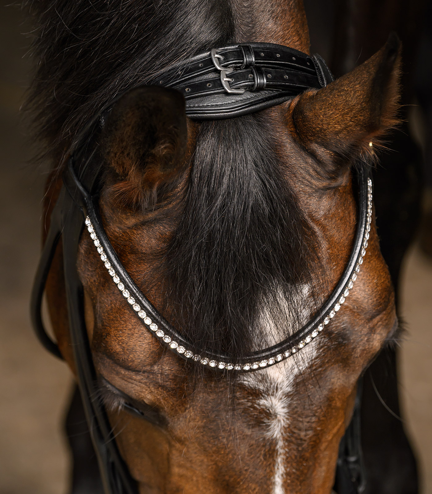 Trensenzaum Grace S-Line schwedisch komb.in schwarz