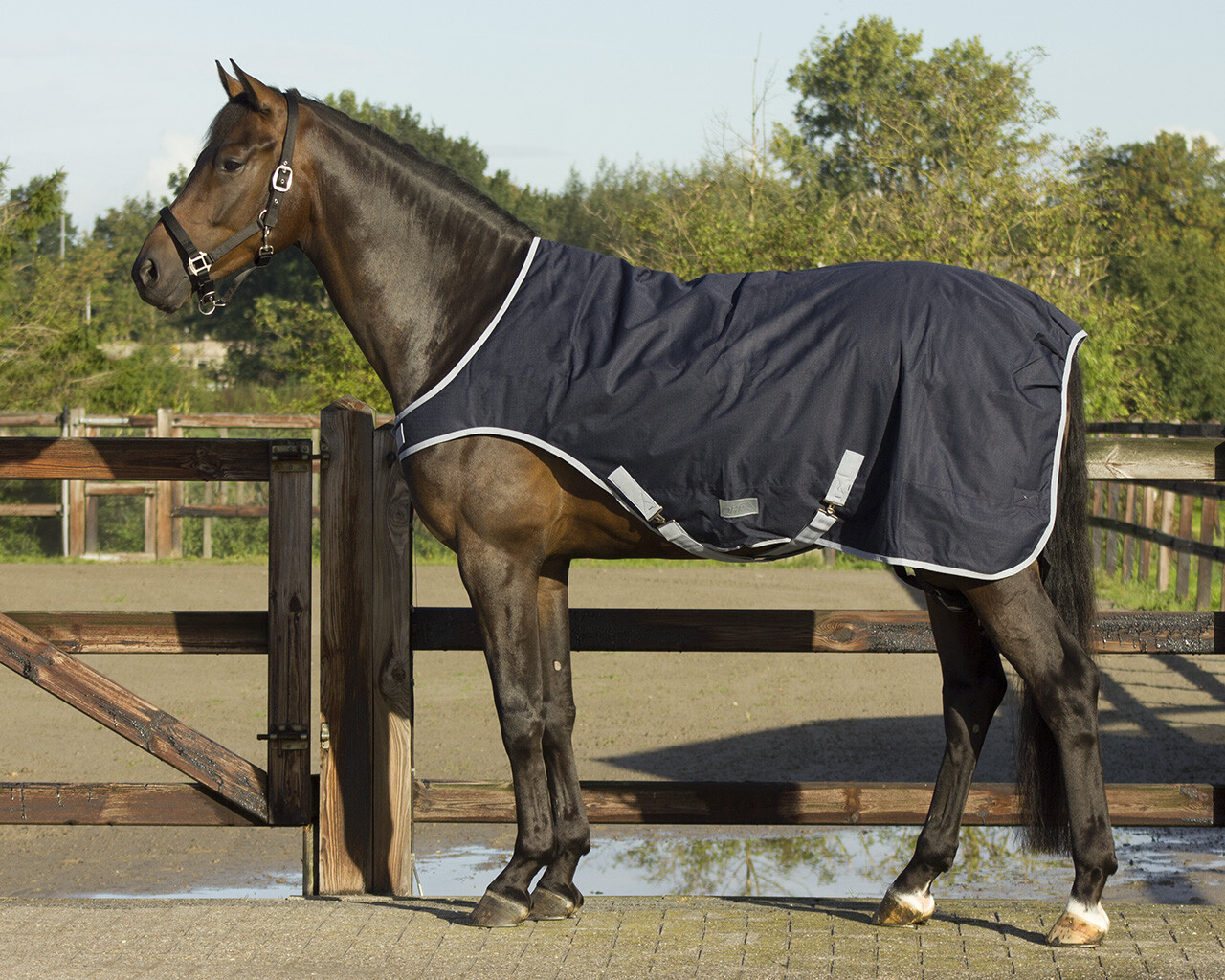 Horse walker cover 0gr