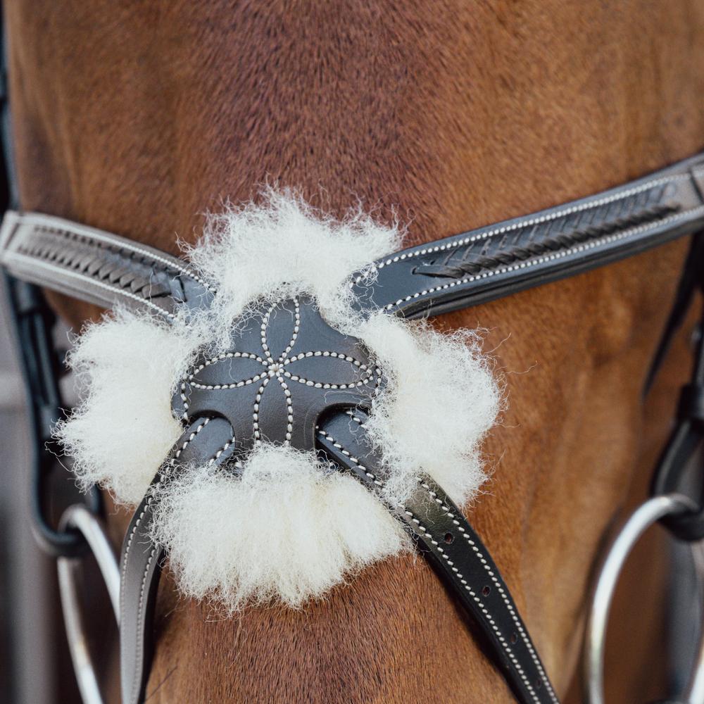 Nasenriemen mit geflochtenen mexikanischem Reithalfter |