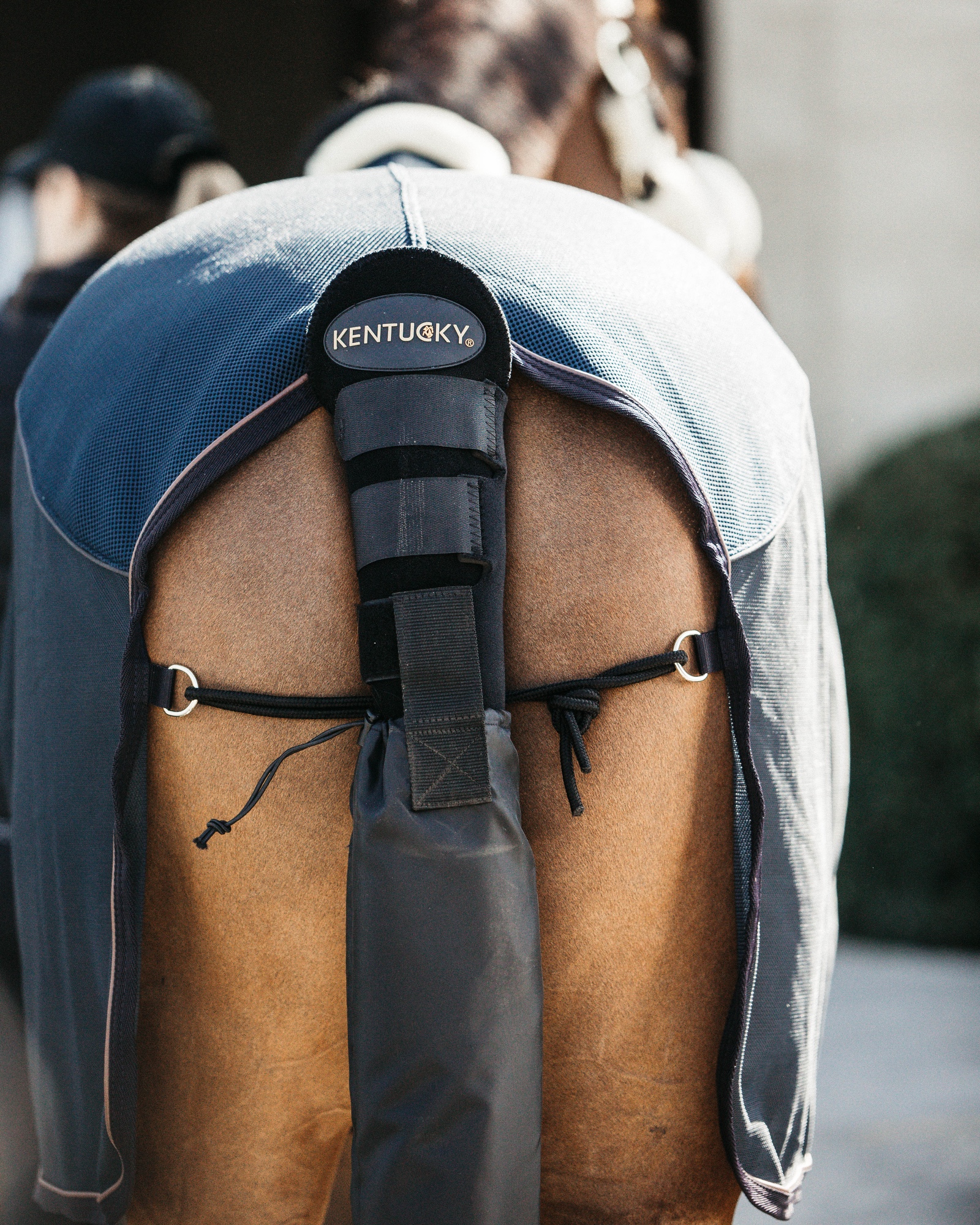 Crupper & tail bag