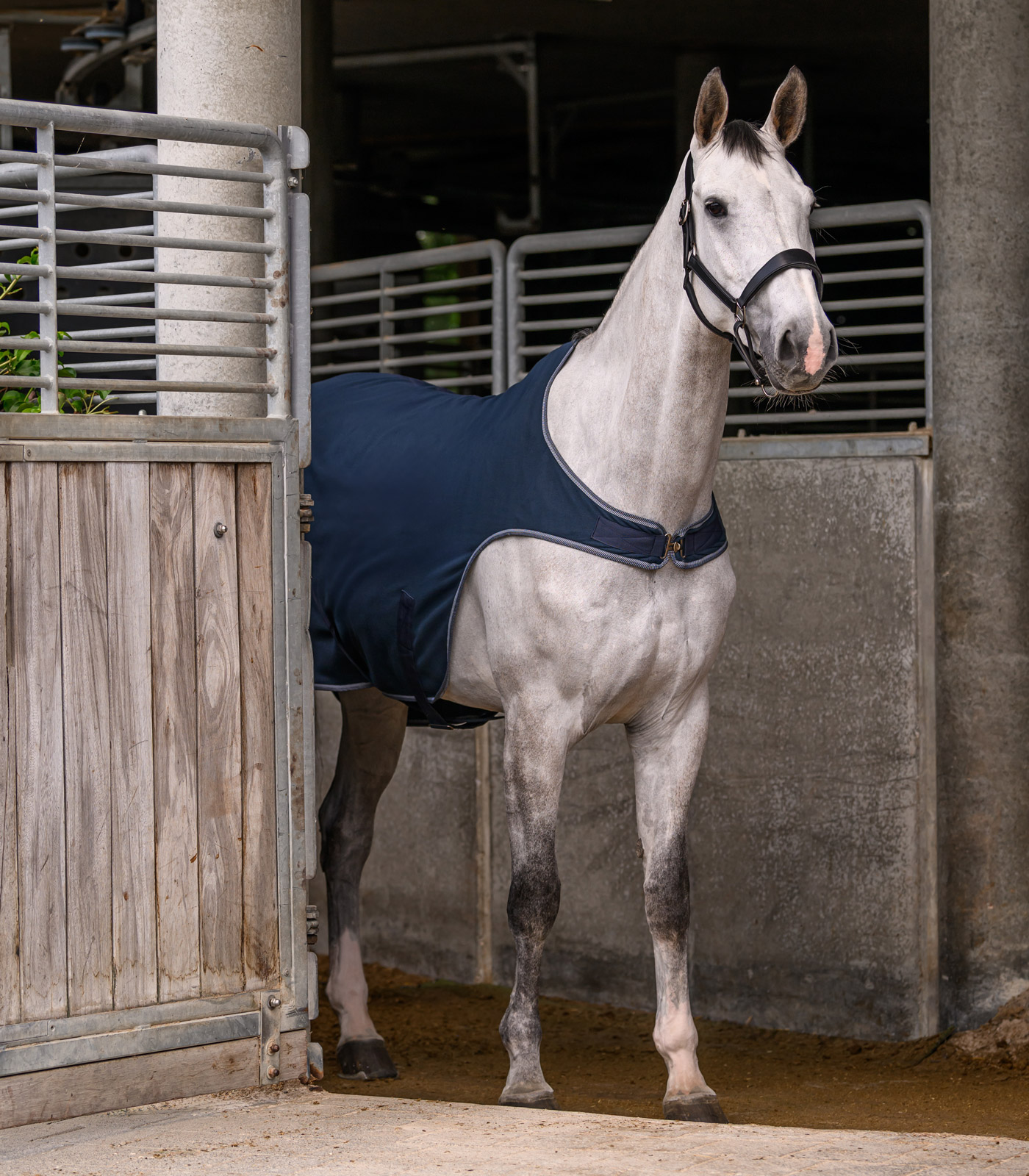ECONOMIC Fleece Walking rug, nightblue