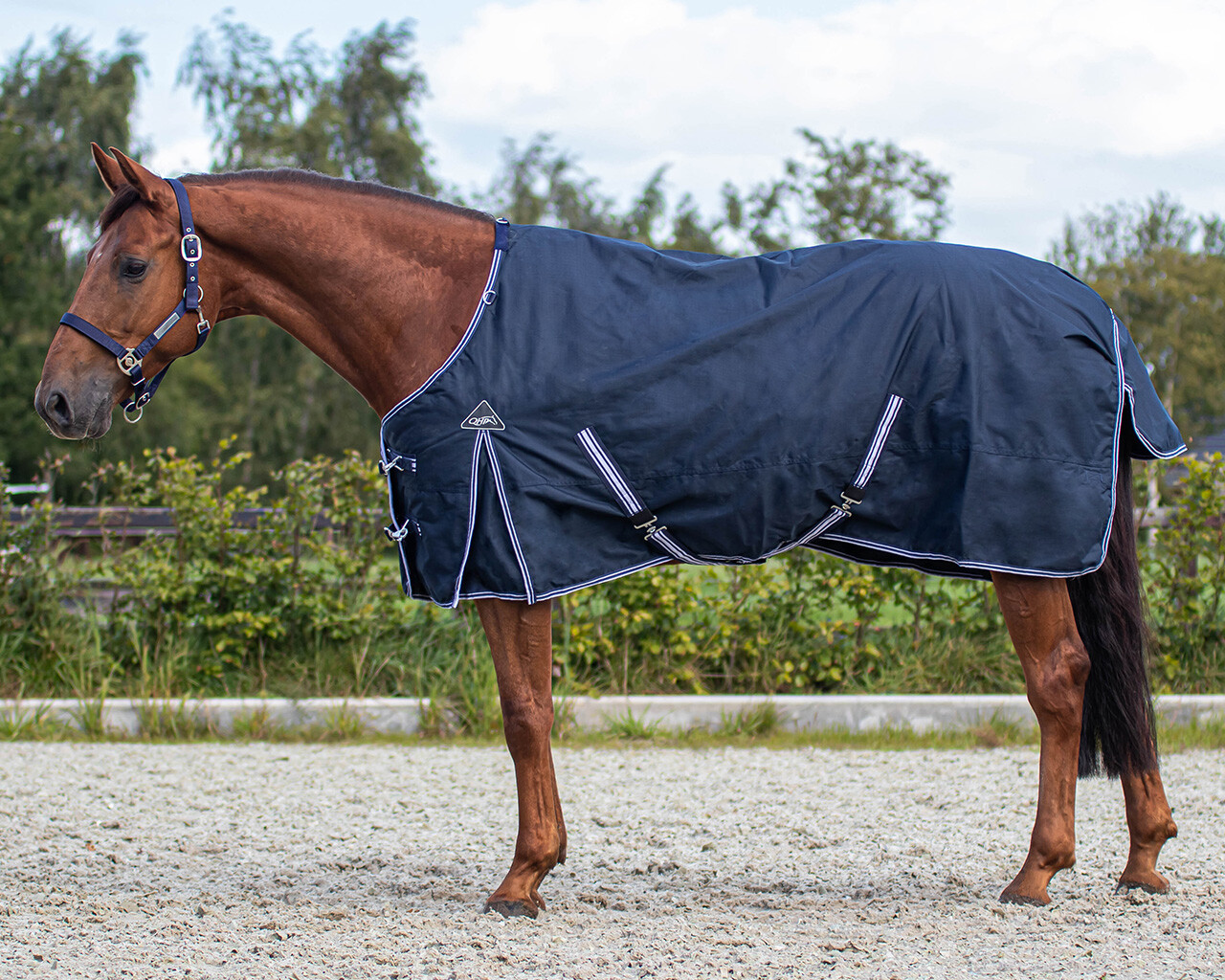 Couverture de pluie Turnout Luxe 100gr