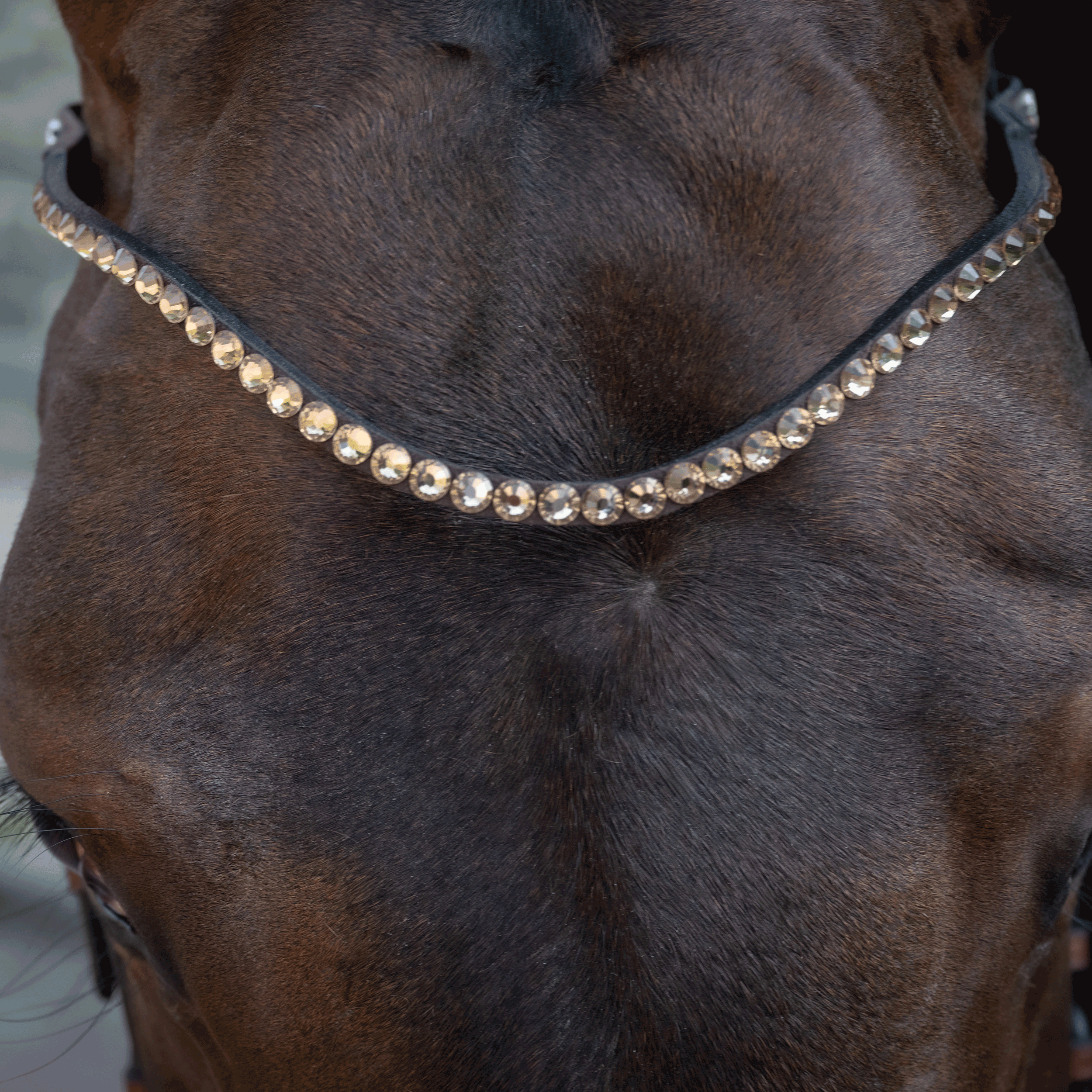 Browband CHOOSE IT