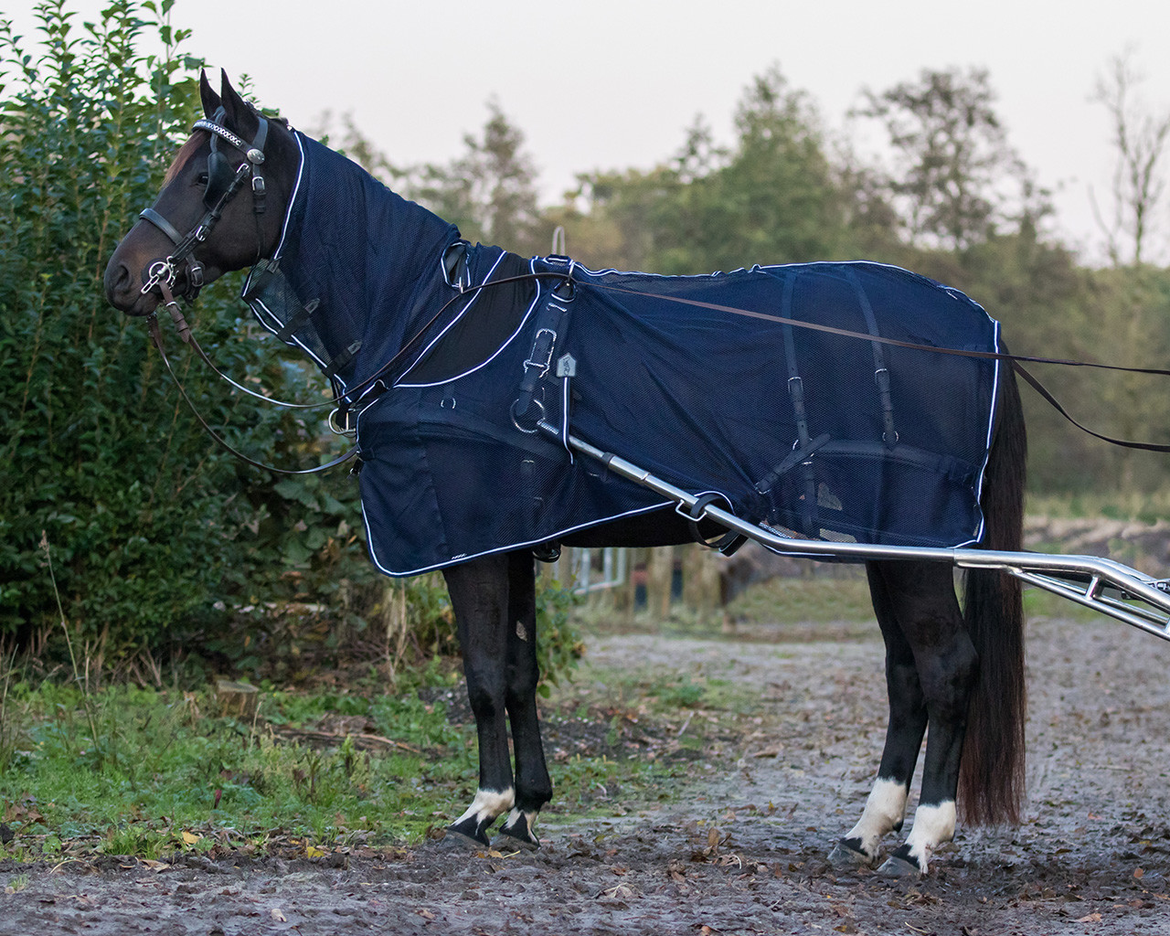 Harness fly rug with neck section