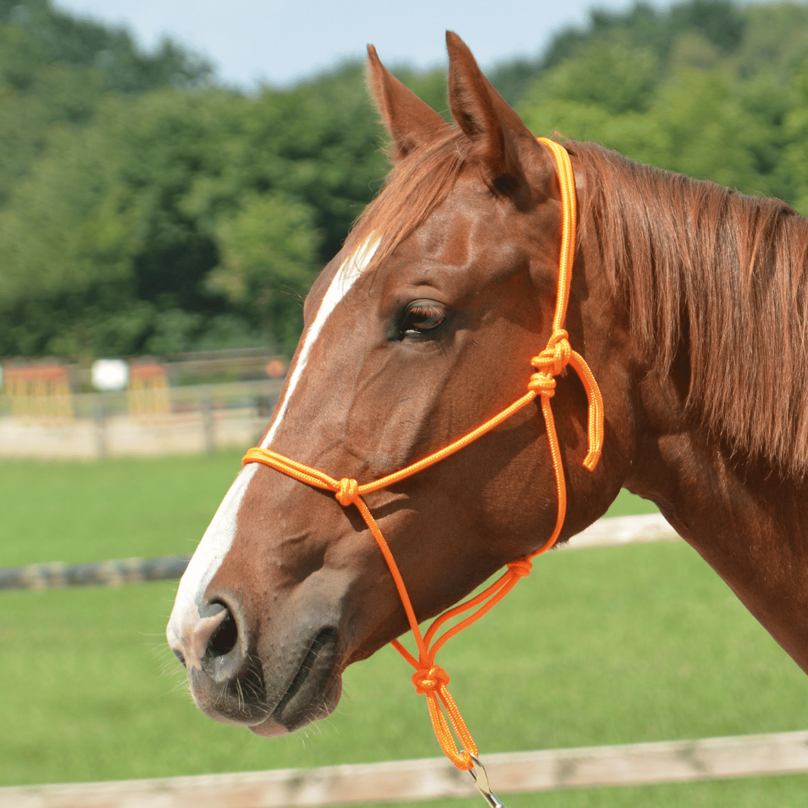 Smooth II knotted halter