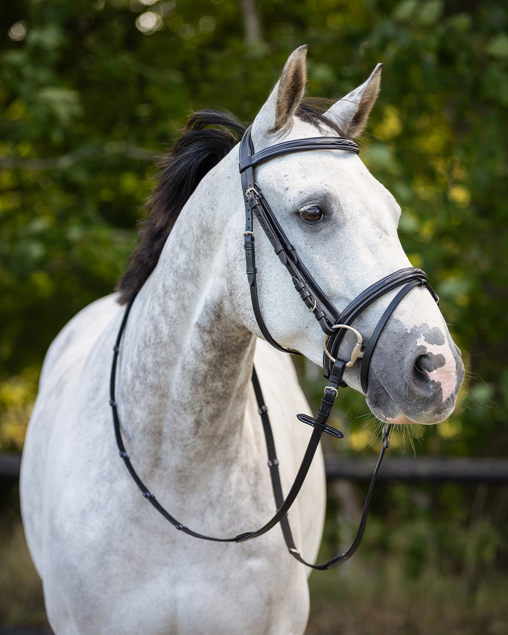 Snaffle with luxury stitching