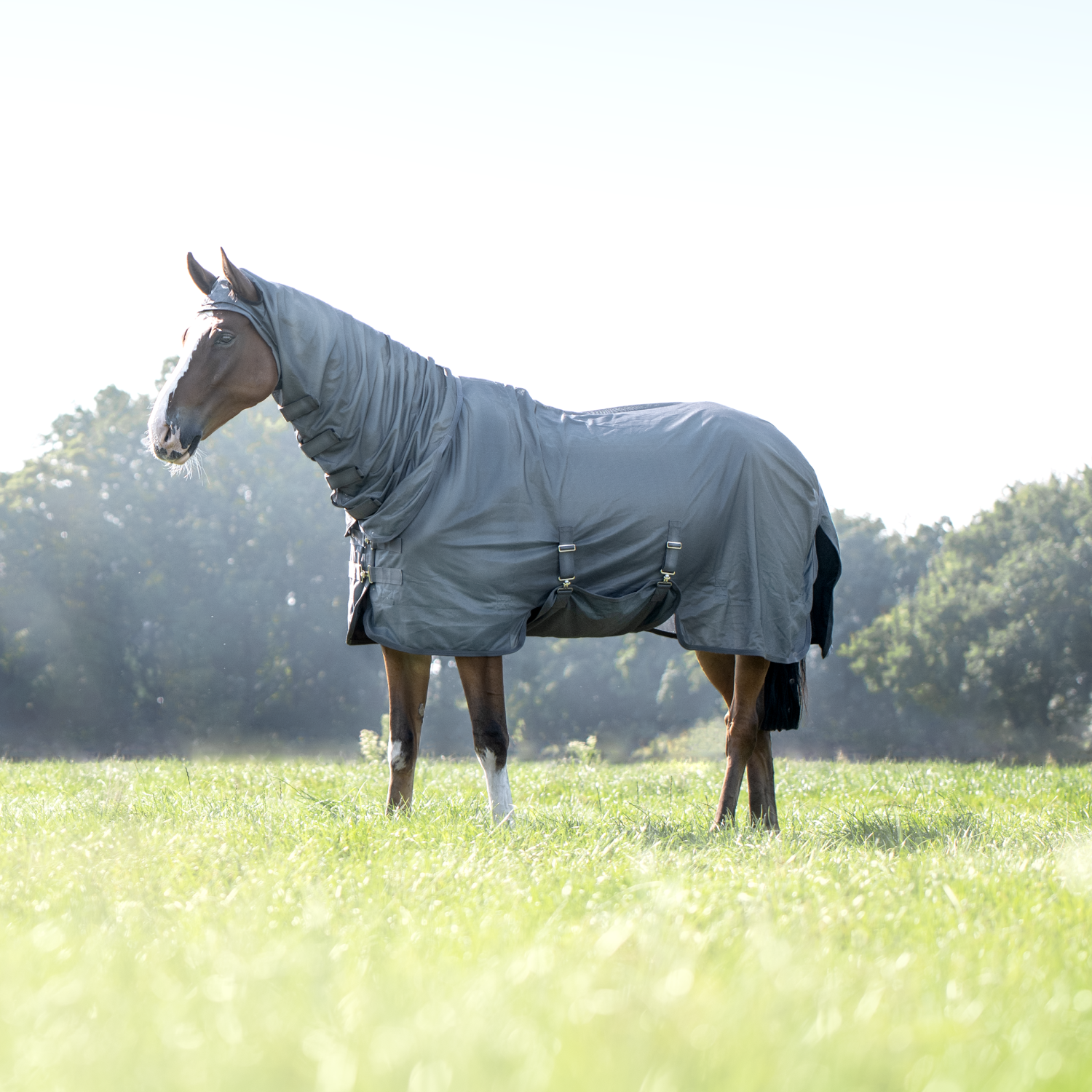 Complete Plus fly rug