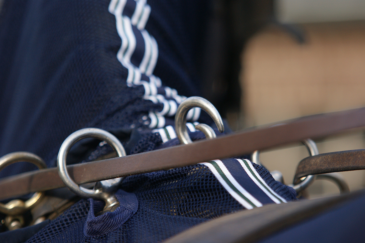 Geschirr-Fliegendecke mit Halsteil