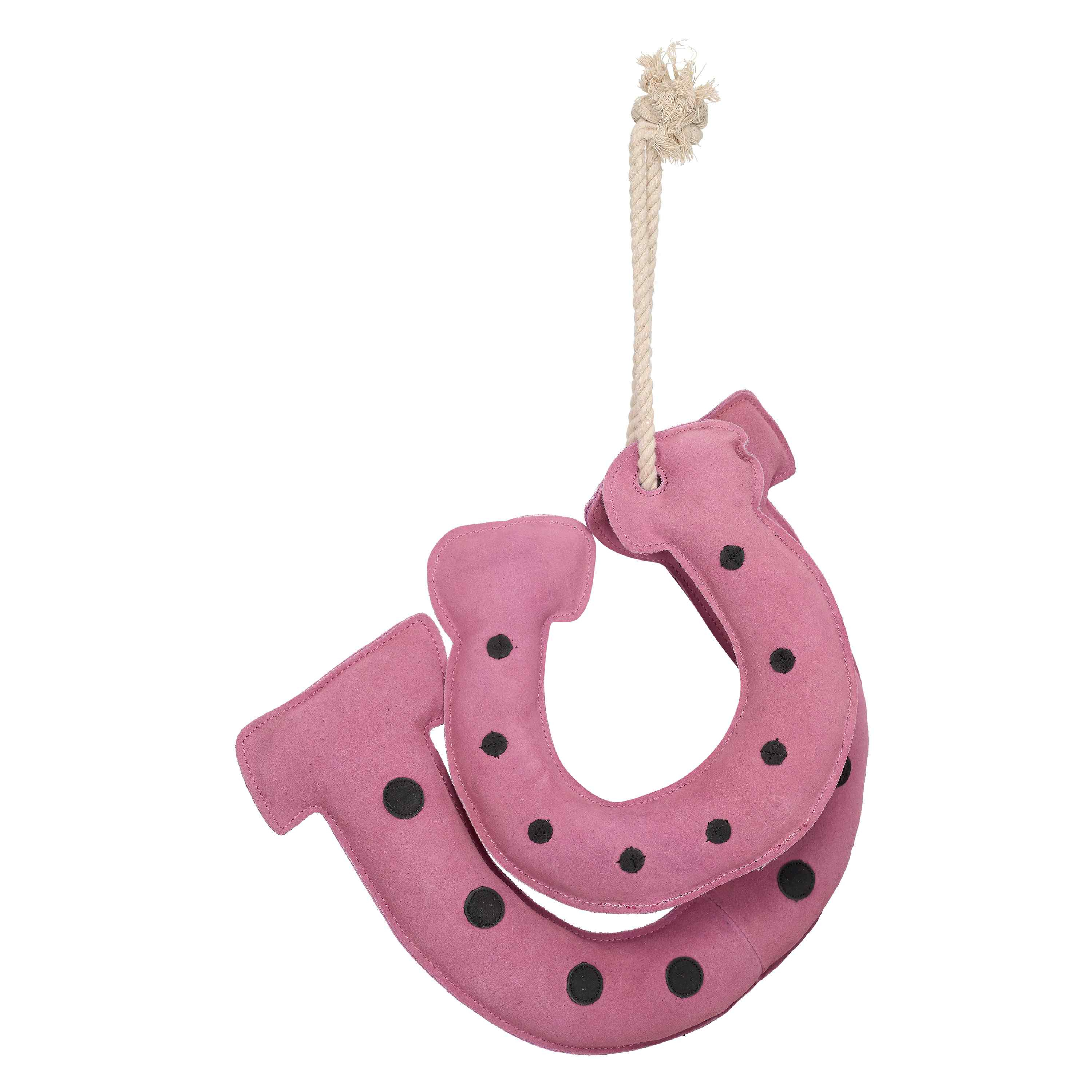 Stable buddy Horseshoes