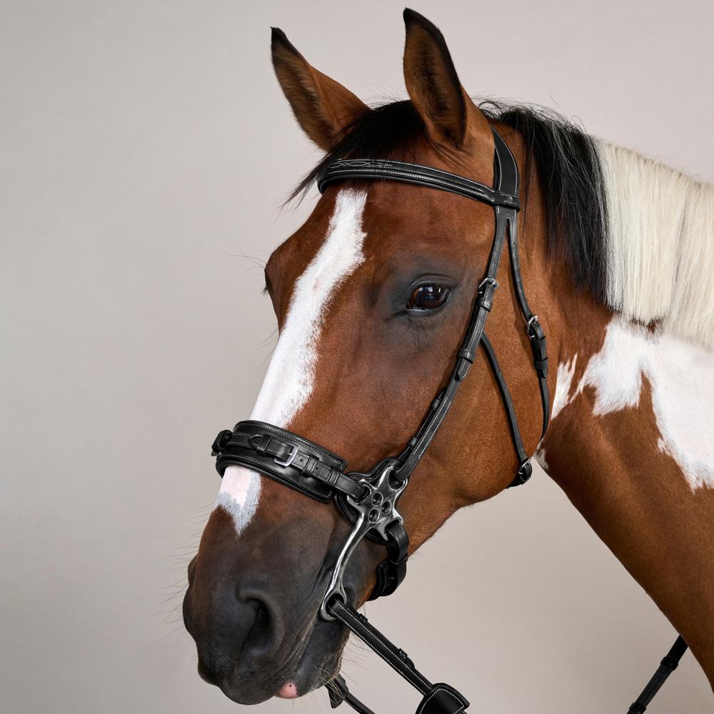 Hackamore-Zaum US