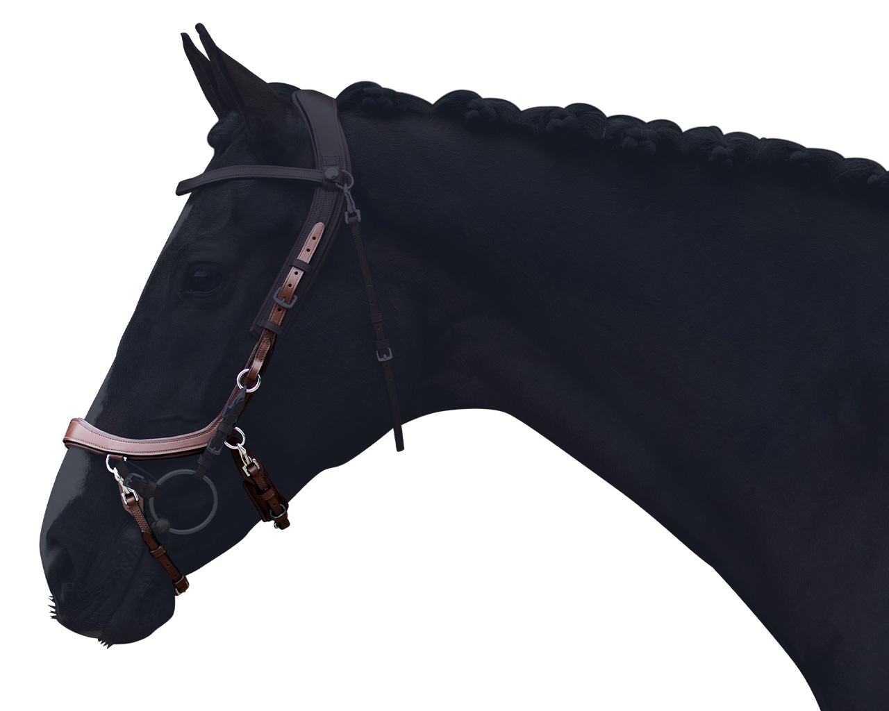 Noseband FaySport