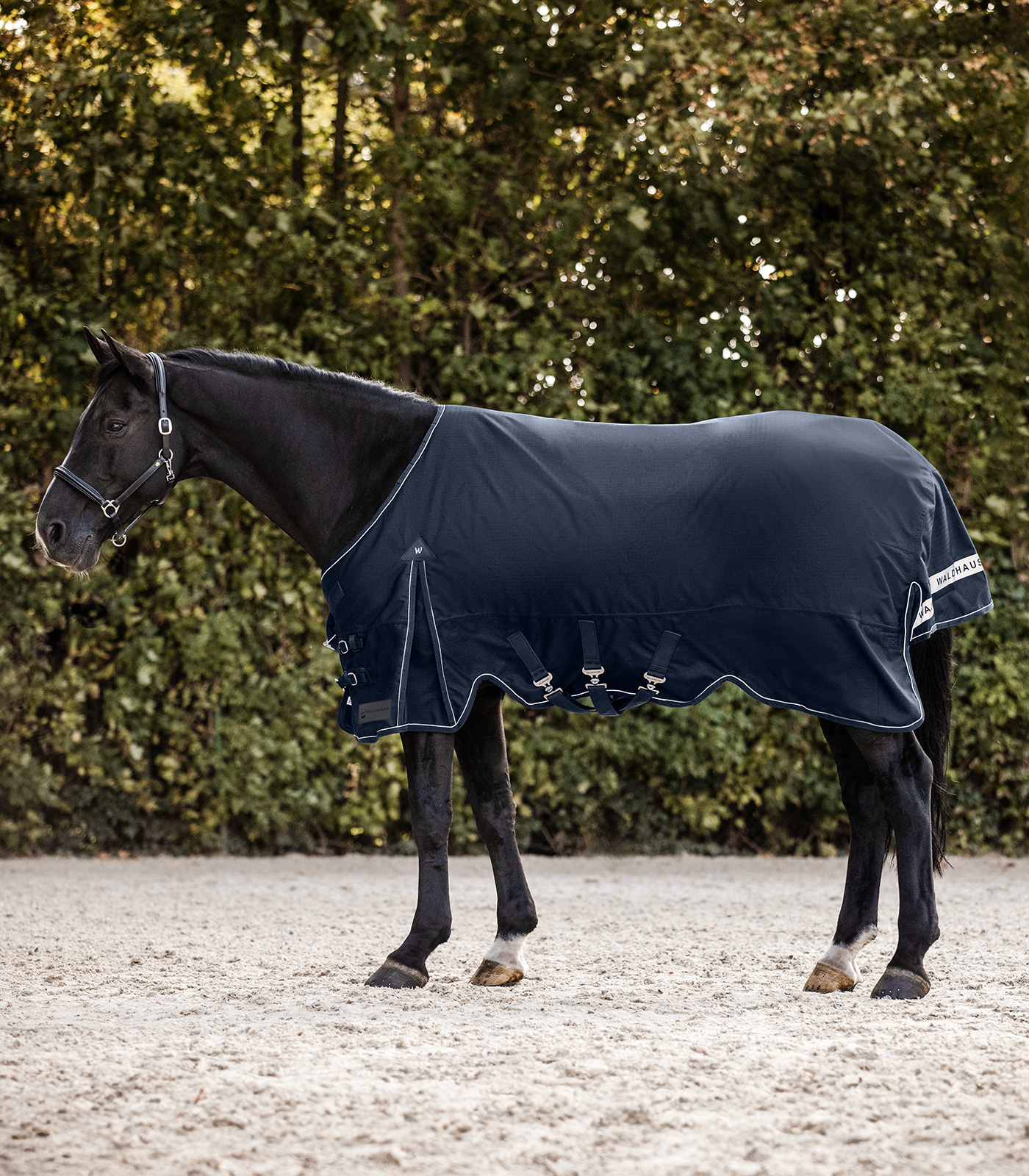 Outdoordecke Scandic, Light